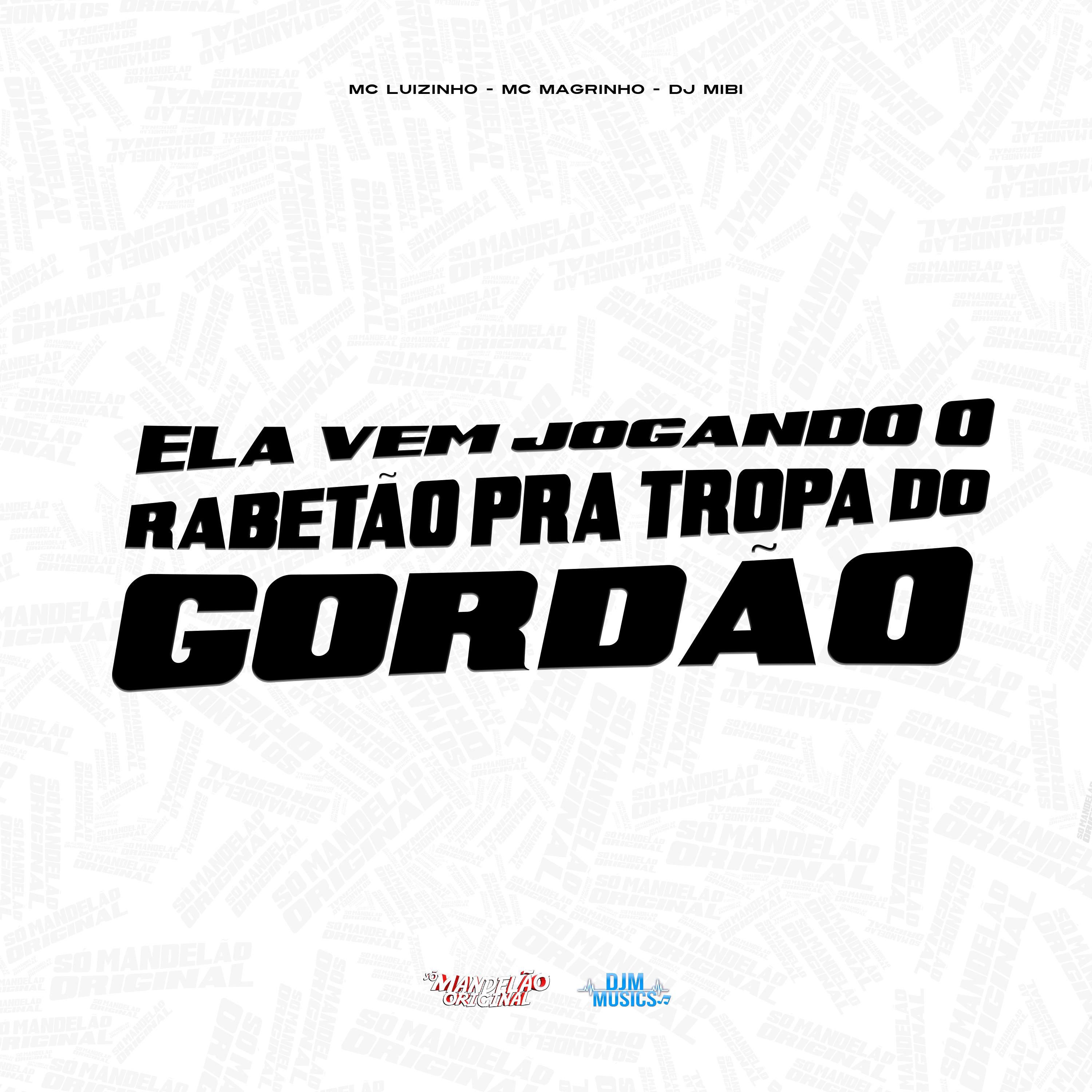 Постер альбома Ela Vem Jogando o Rabetão pra Tropa do Gordao