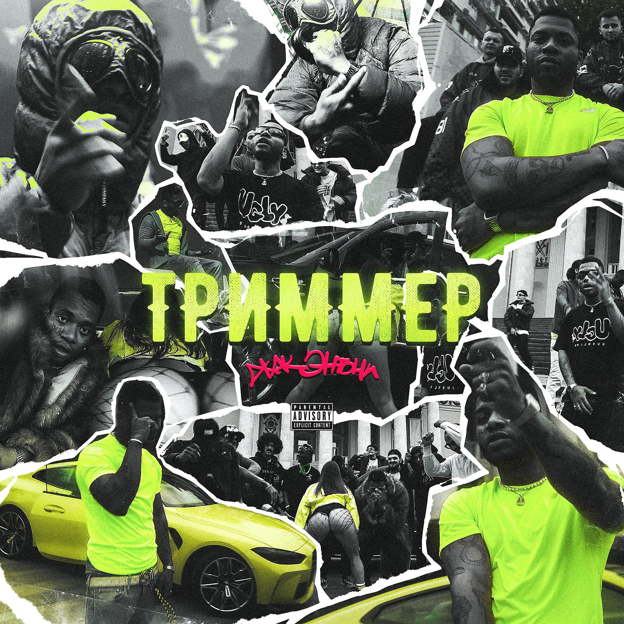 Постер альбома Триммер