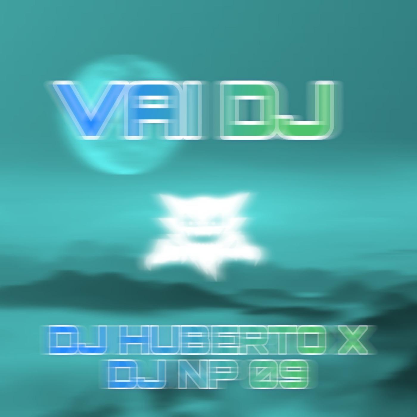 Постер альбома Vai Dj (feat. Dj Np 09)