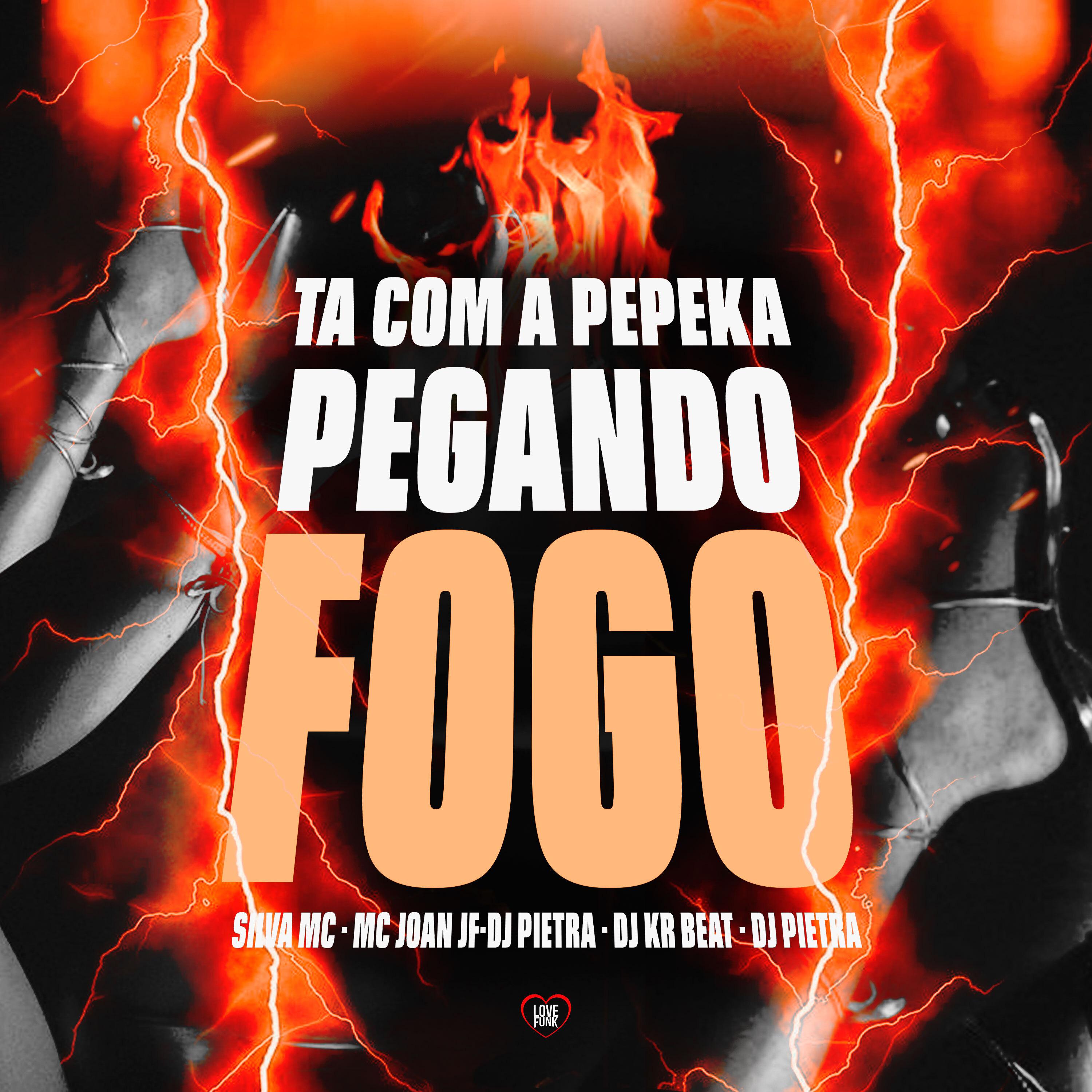 Постер альбома Ta Com a Pepeka Pegando Fogo