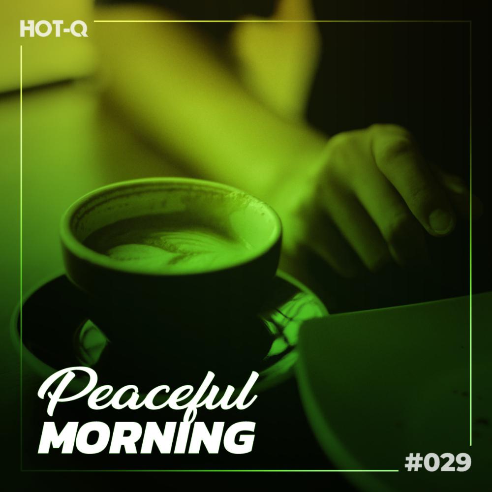Постер альбома Peaceful Morning 029