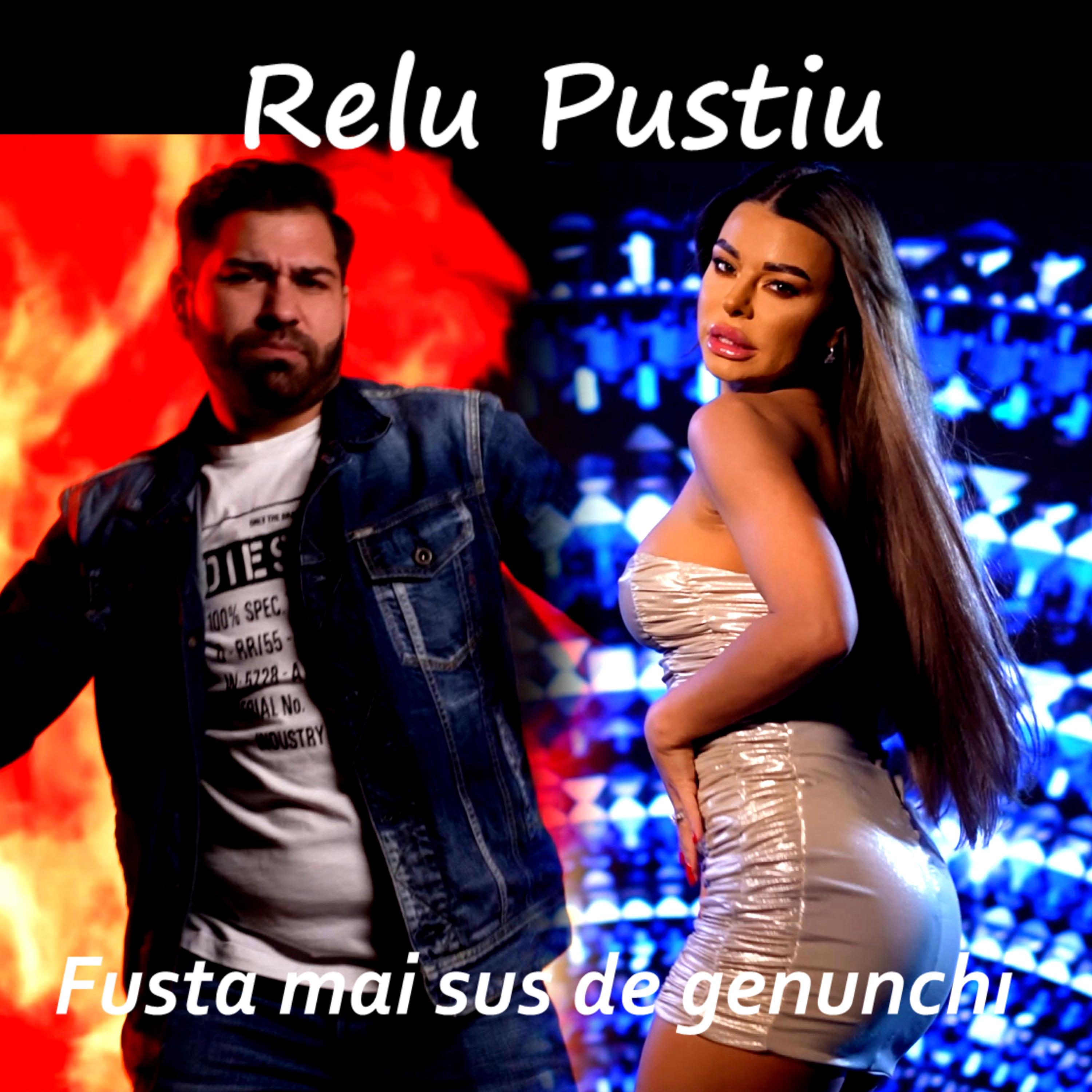 Постер альбома Fusta mai sus de genunchi