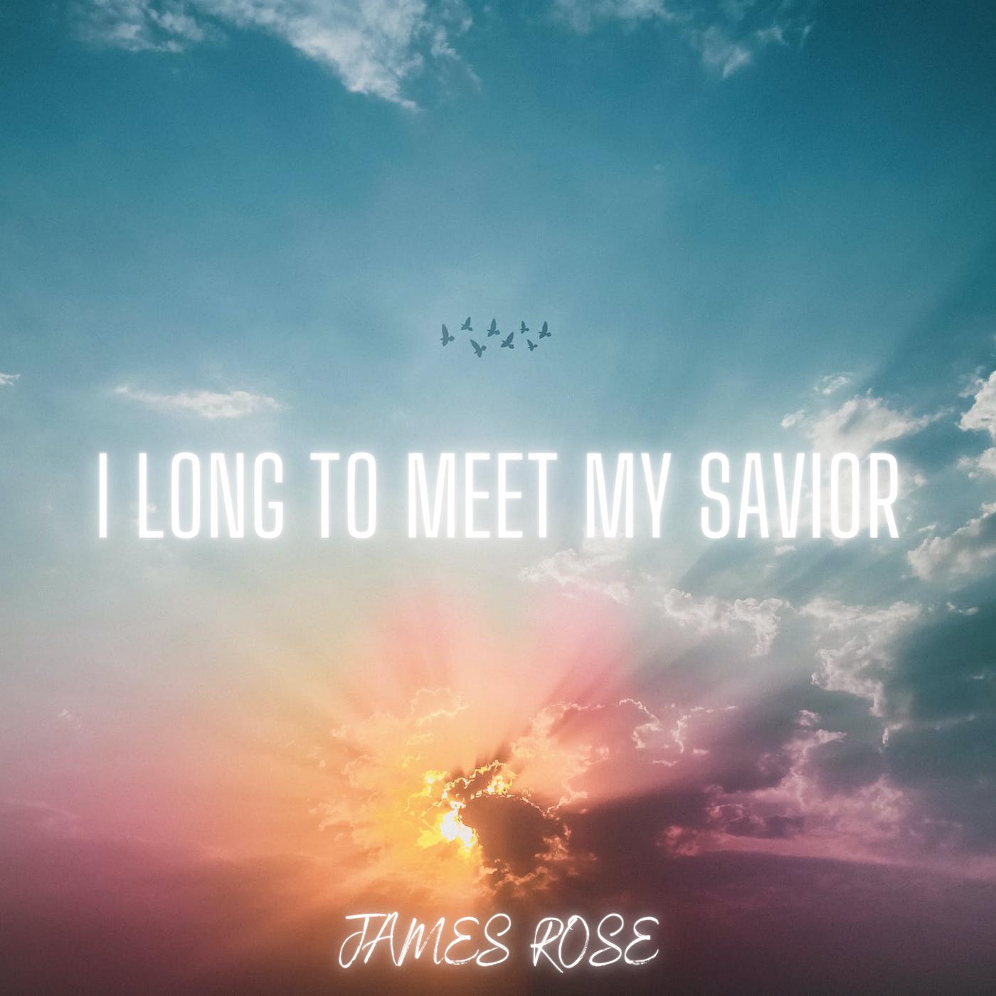 Постер альбома I Long to Meet My Savior