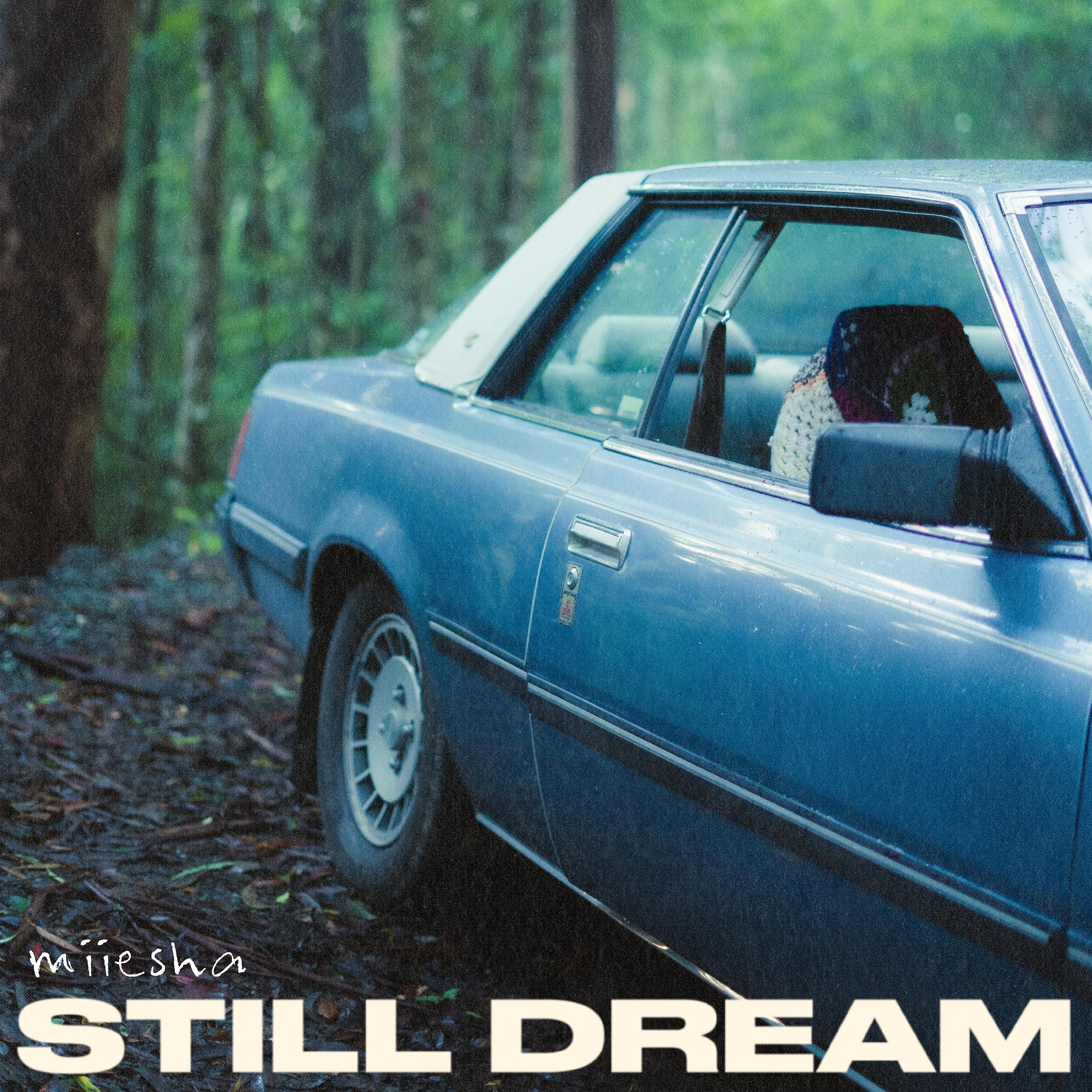 Постер альбома Still Dream