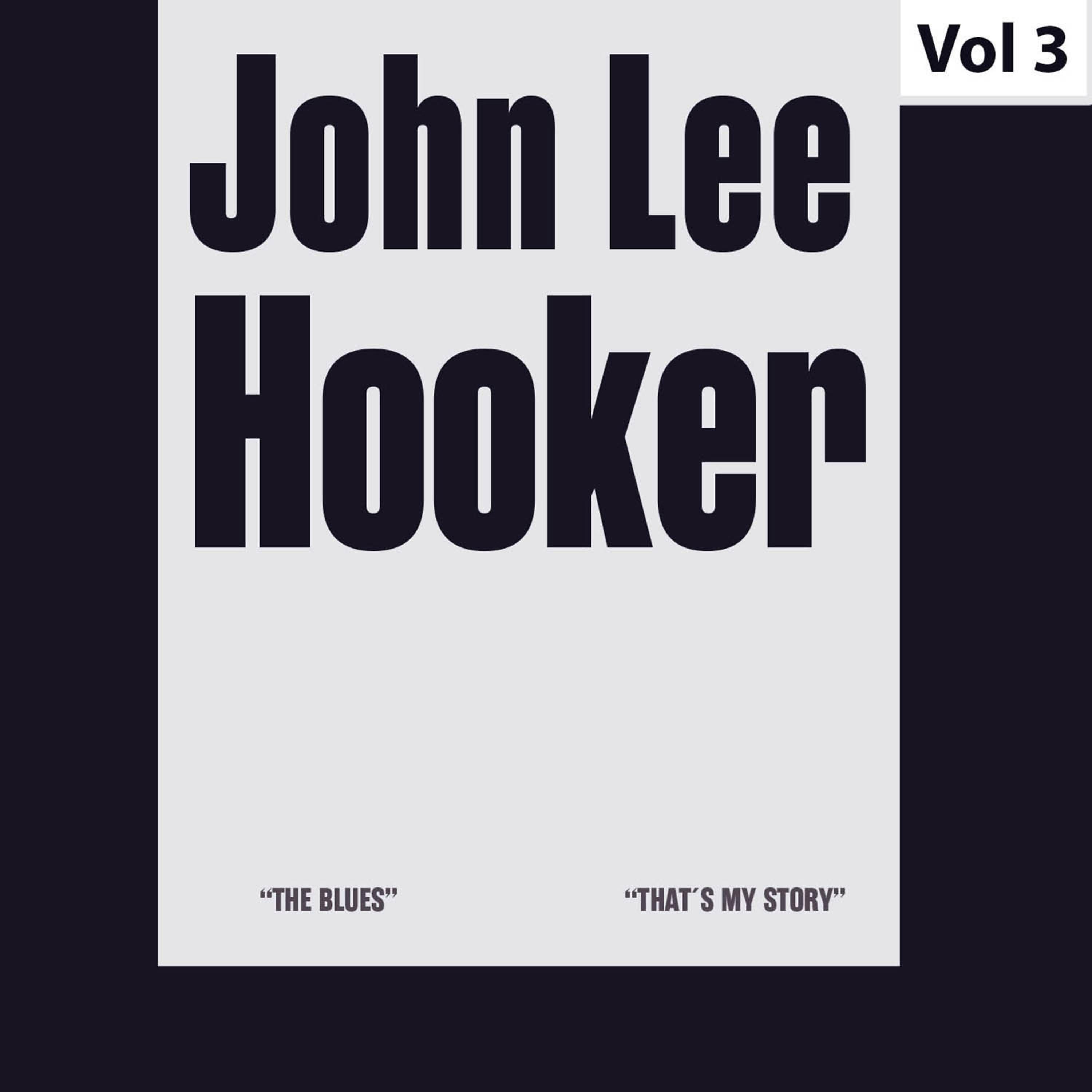 Постер альбома John Lee Hooker - Original Albums, Vol. 3