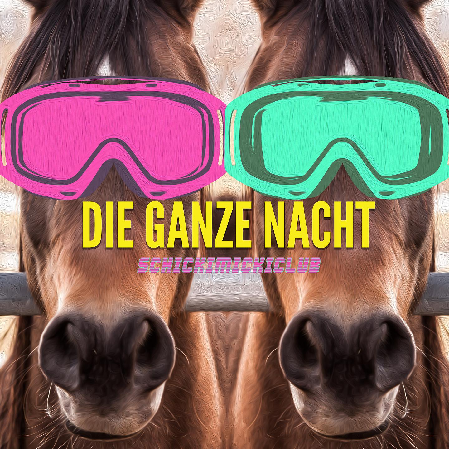 Постер альбома Die ganze Nacht