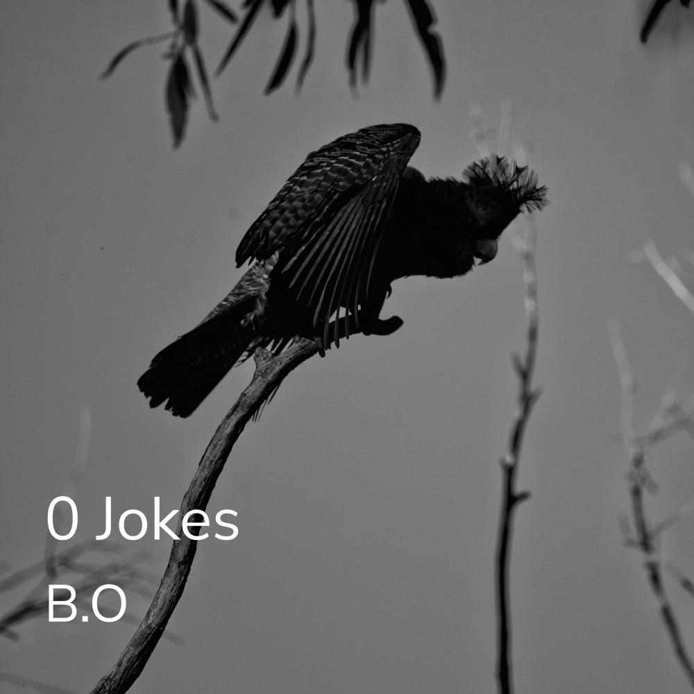 Постер альбома 0 Jokes