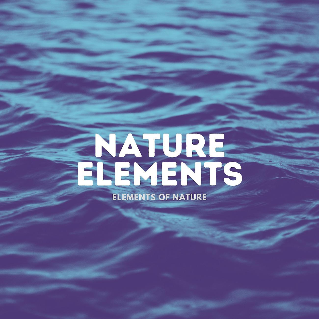 Постер альбома Nature Elements