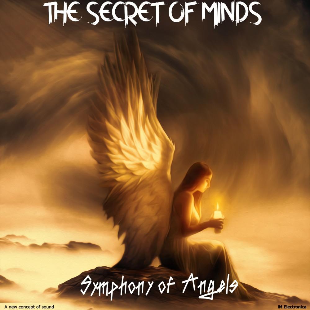 Постер альбома Symphony of Angels (Original Mix)