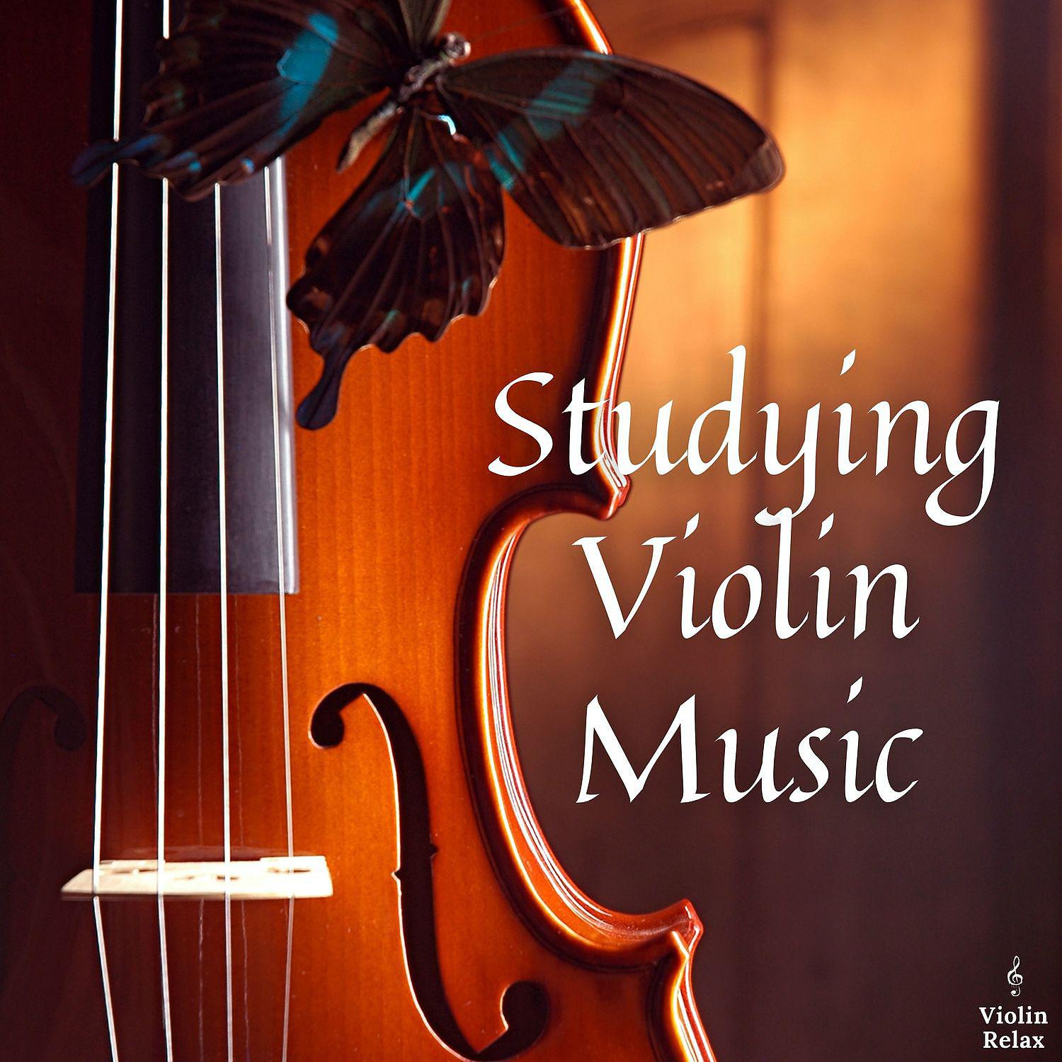 Постер альбома Studying Violin Music