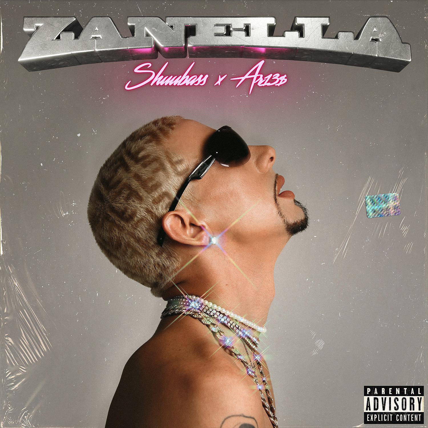 Постер альбома Zanella - Shuubass x Ar13$