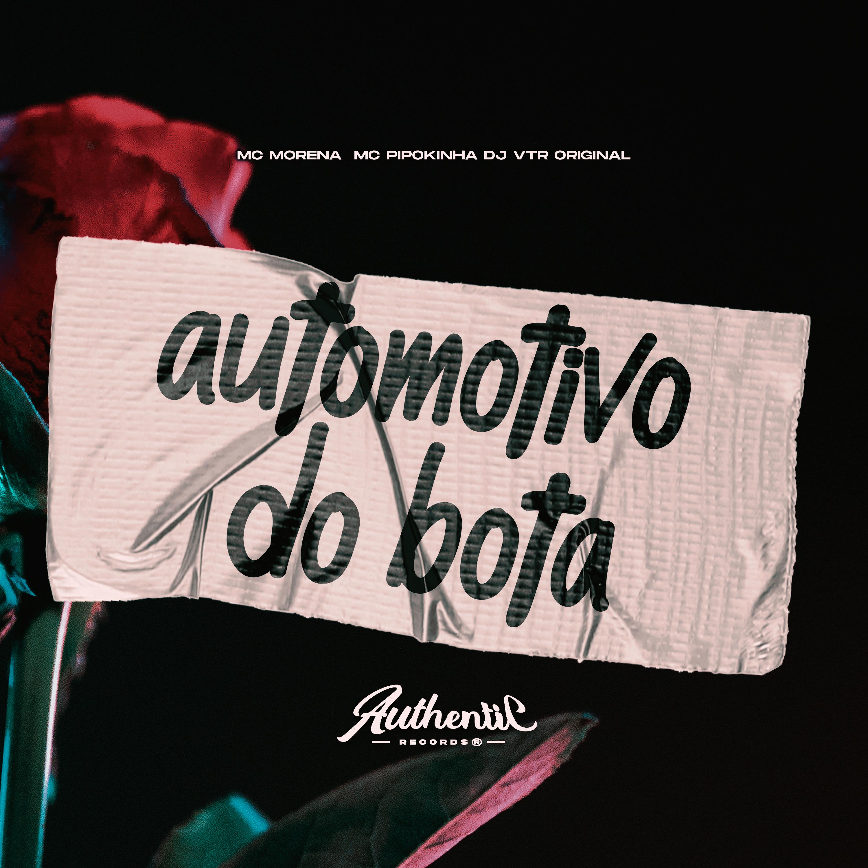 Постер альбома Automotivo do Bota