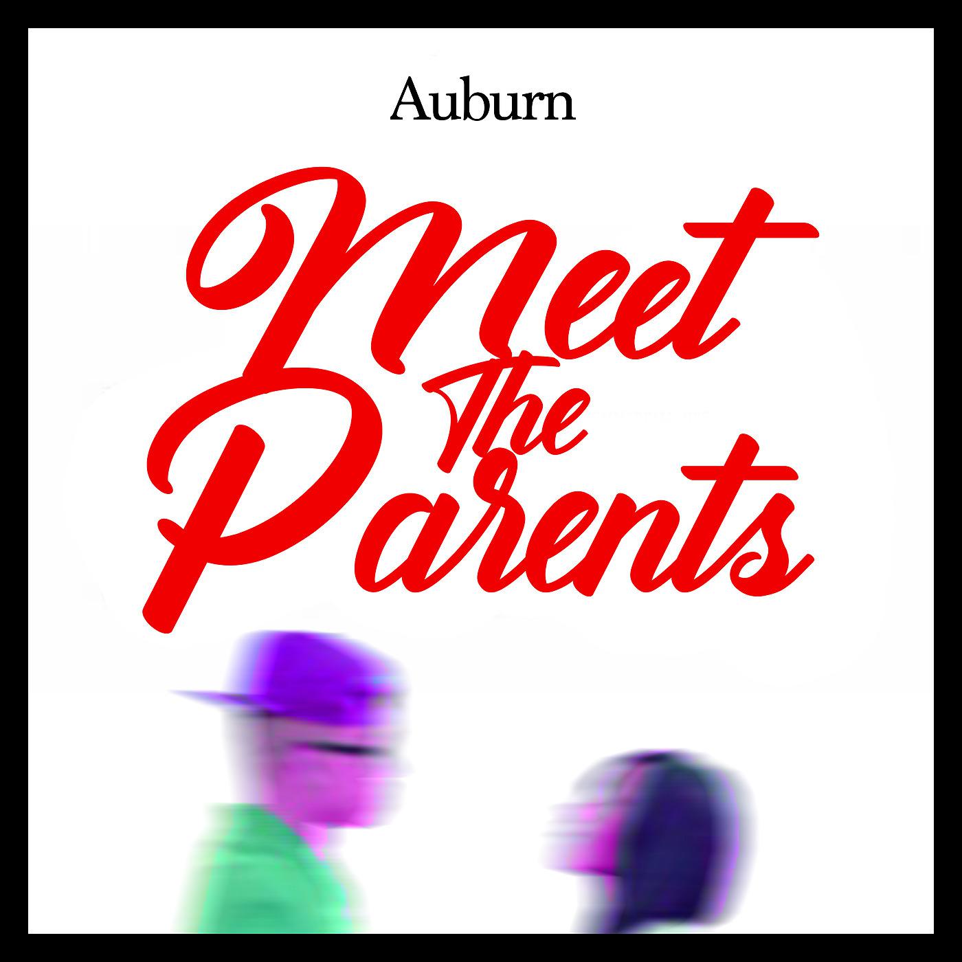 Постер альбома Meet the Parents