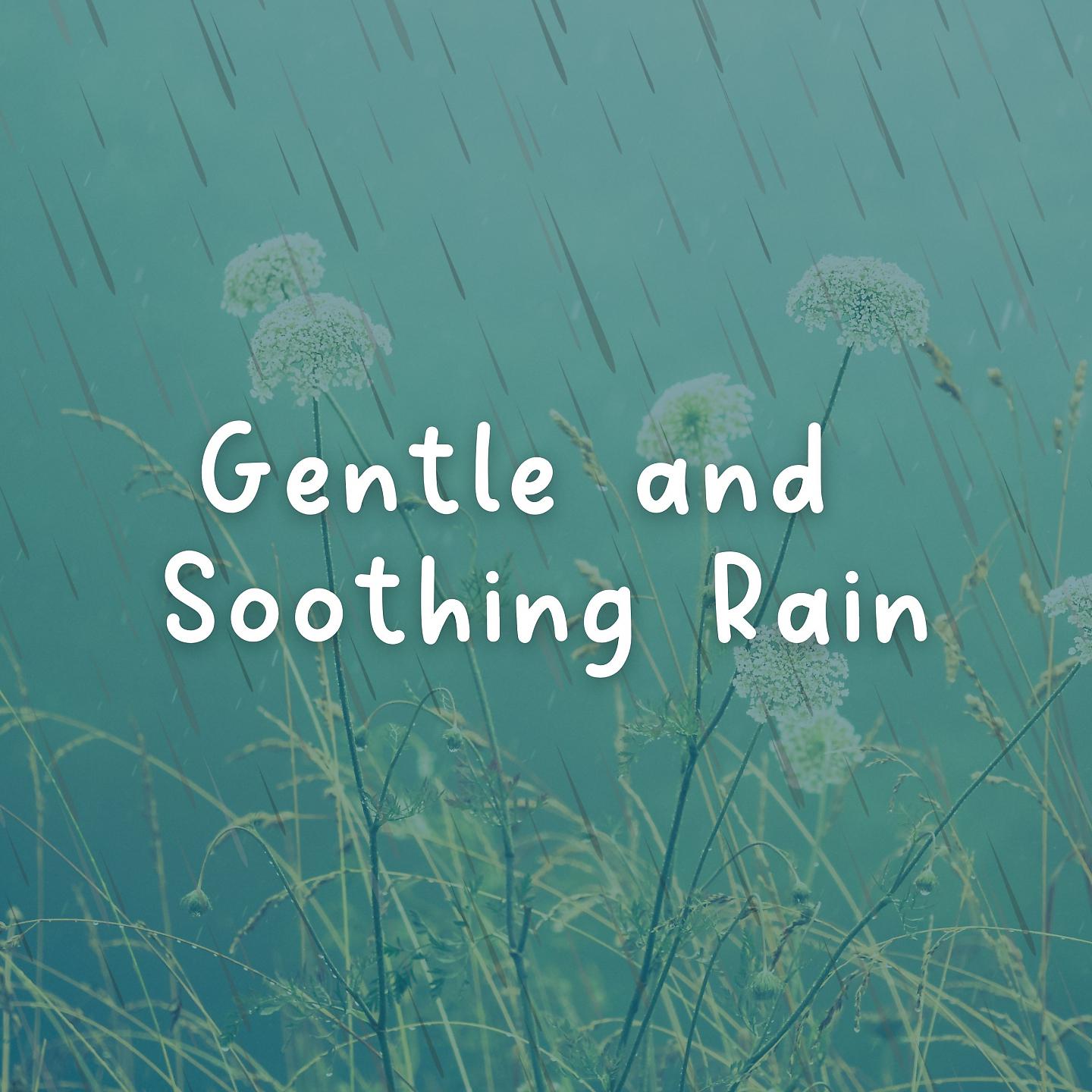 Постер альбома Gentle and Soothing Rain