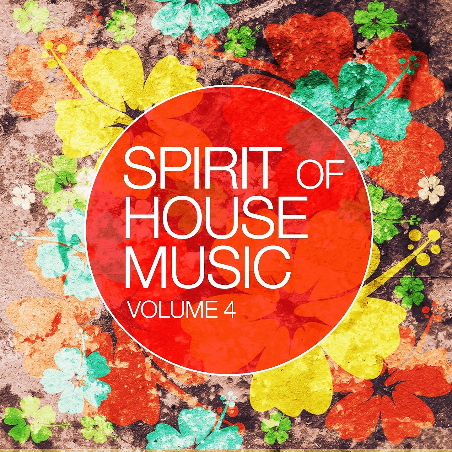 Постер альбома Spirit Of House Music, Vol. 4