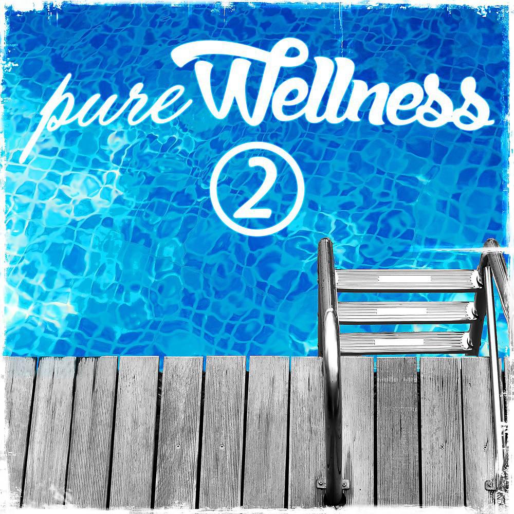 Постер альбома Pure Wellness 2