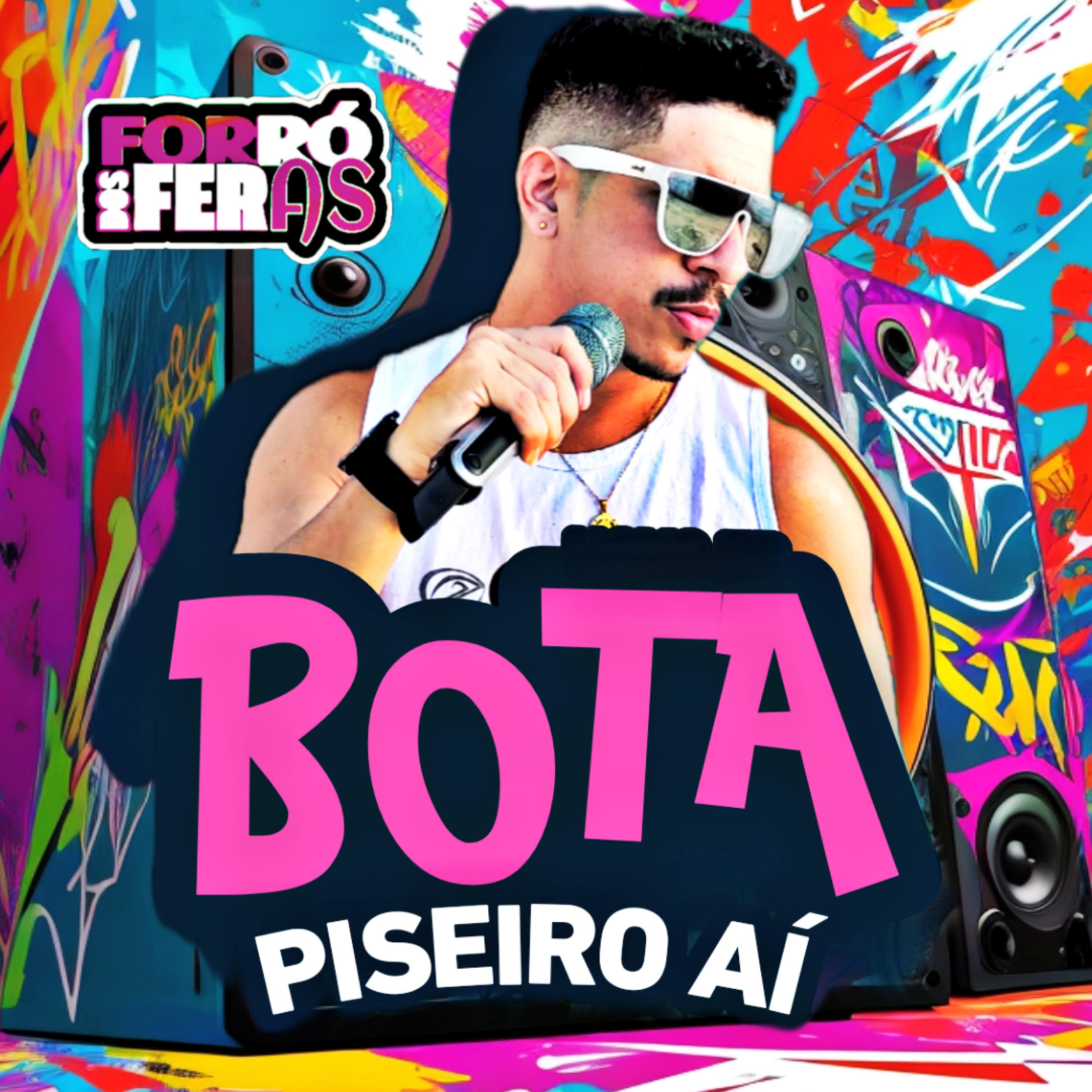 Постер альбома Bota Piseiro Aí