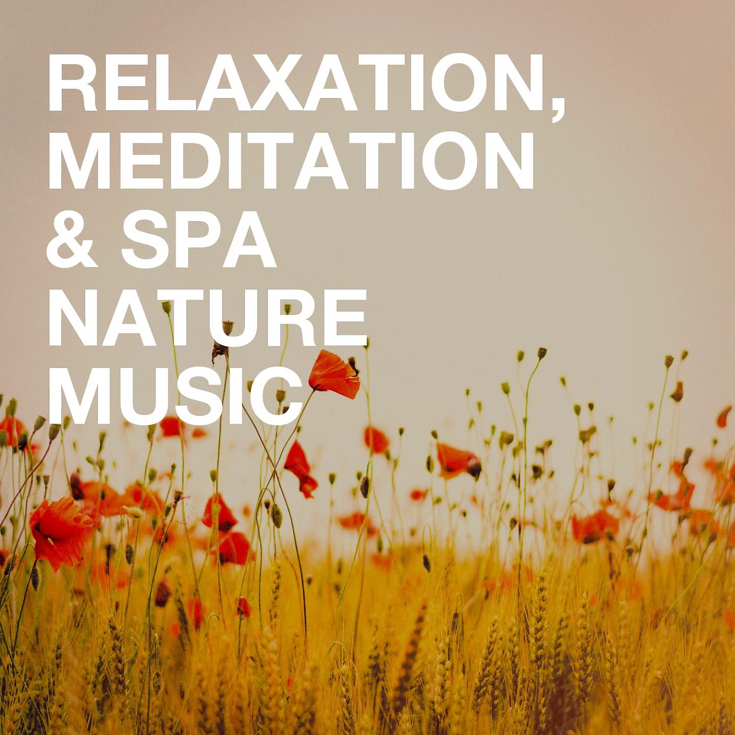 Постер альбома Relaxation, Meditation & Spa Nature Music