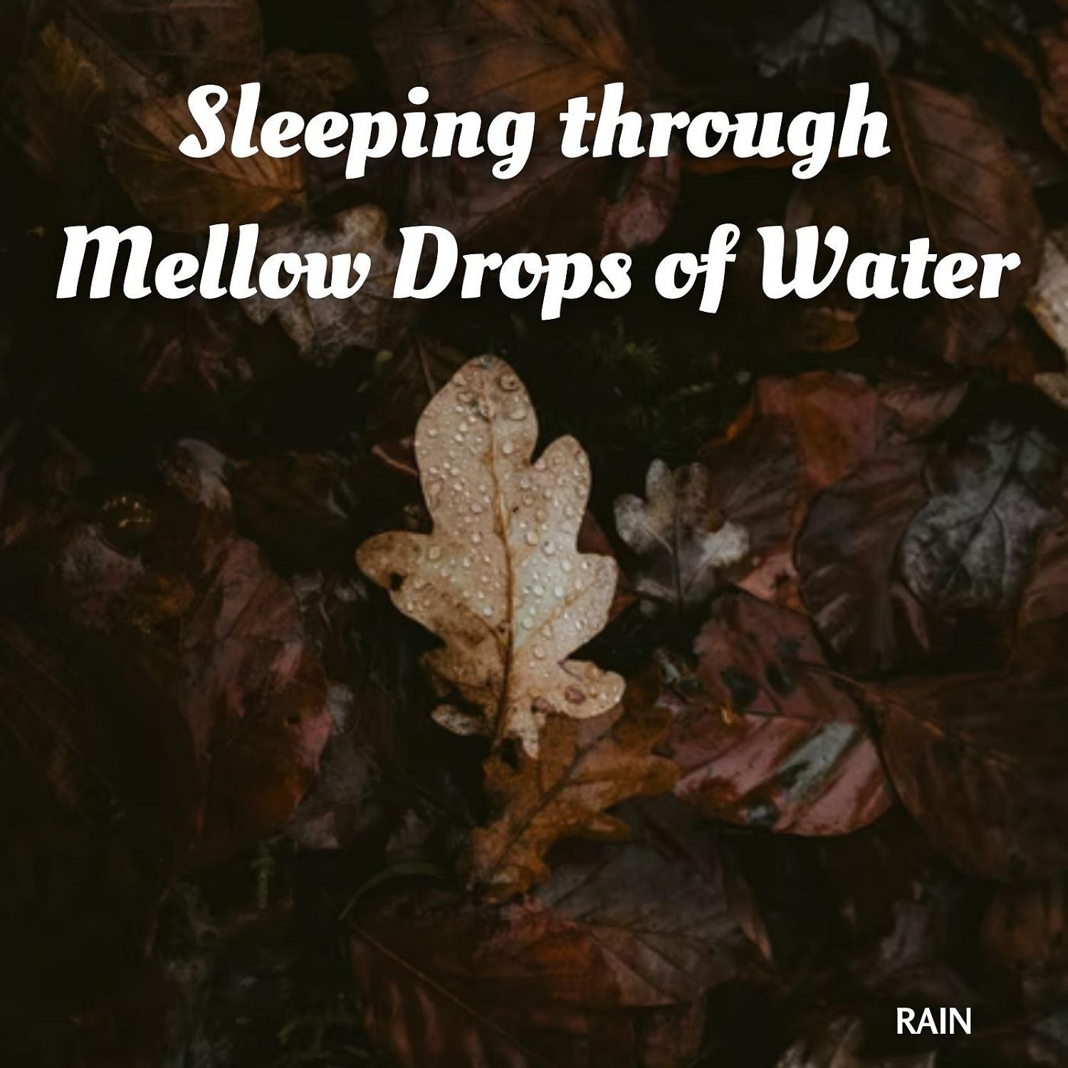 Постер альбома Rain: Sleeping through Mellow Drops of Water