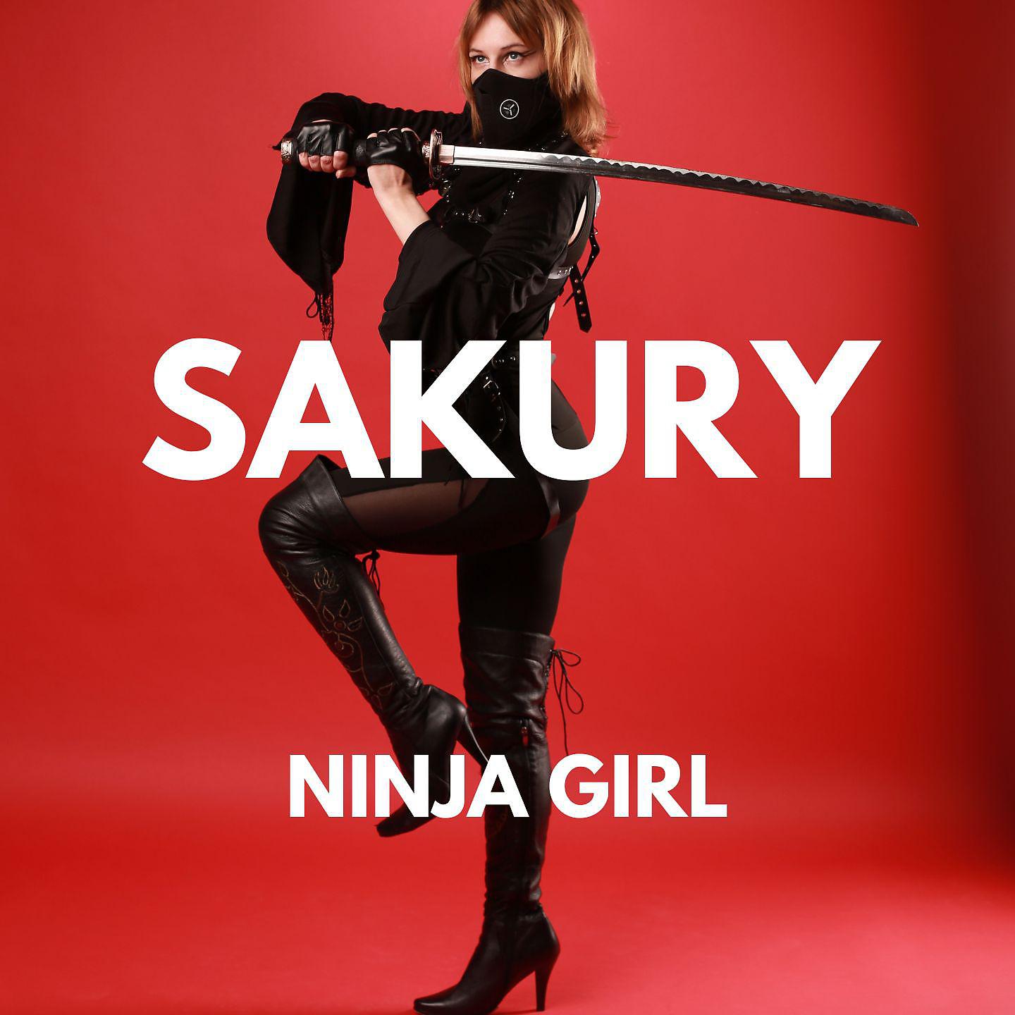 Постер альбома Ninja Girl