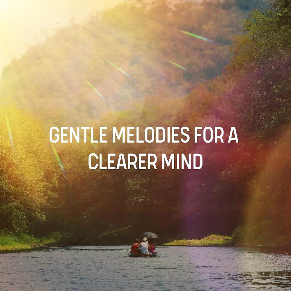 Постер альбома Gentle Melodies for a Clearer Mind