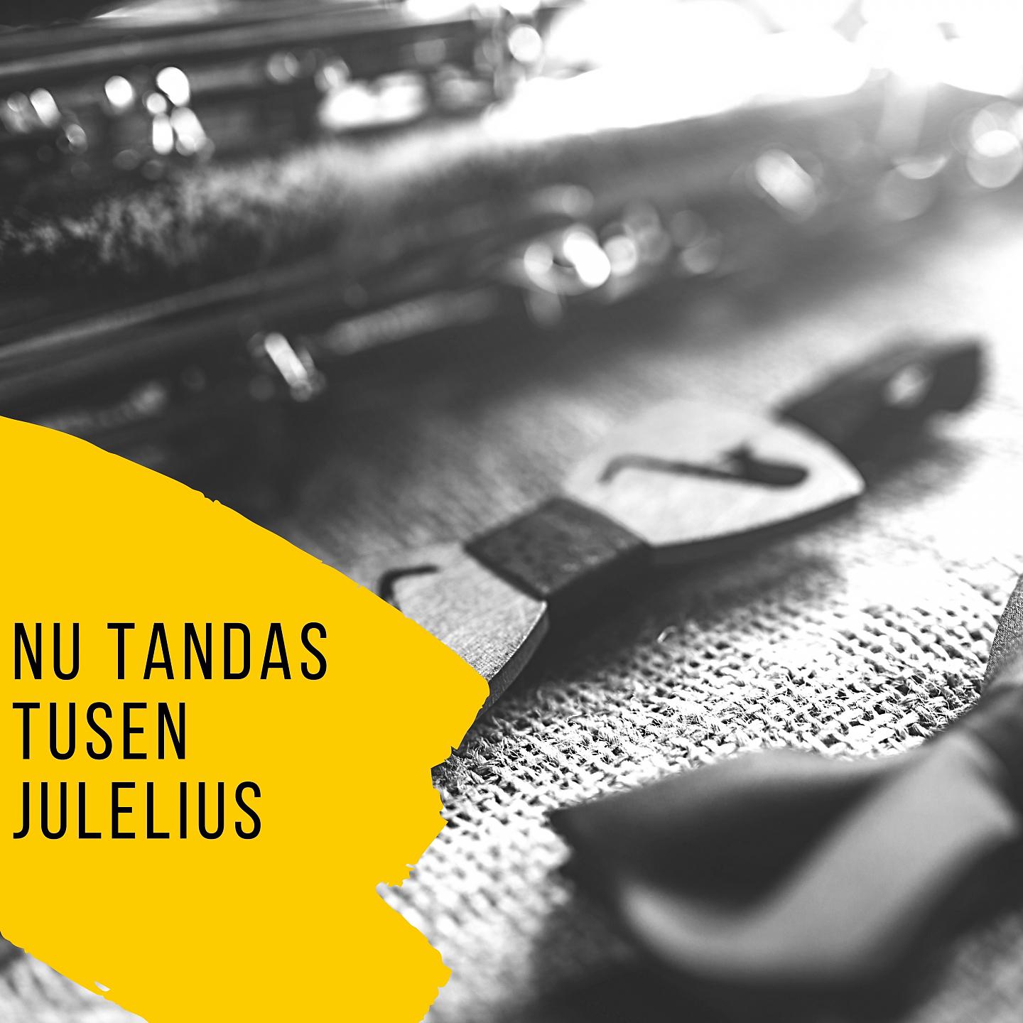 Постер альбома Nu Tandas Tusen Julelius