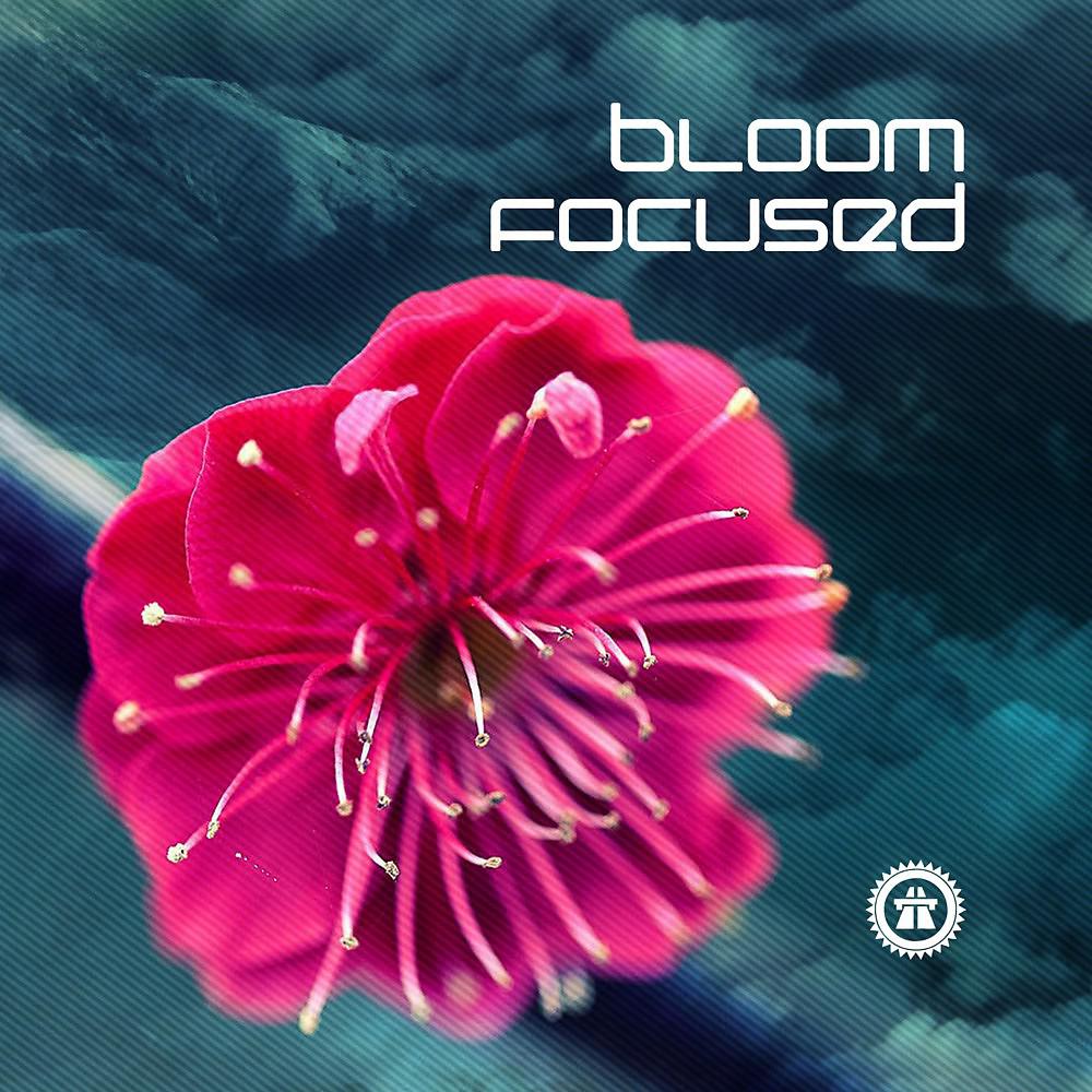Постер альбома Bloom Focused