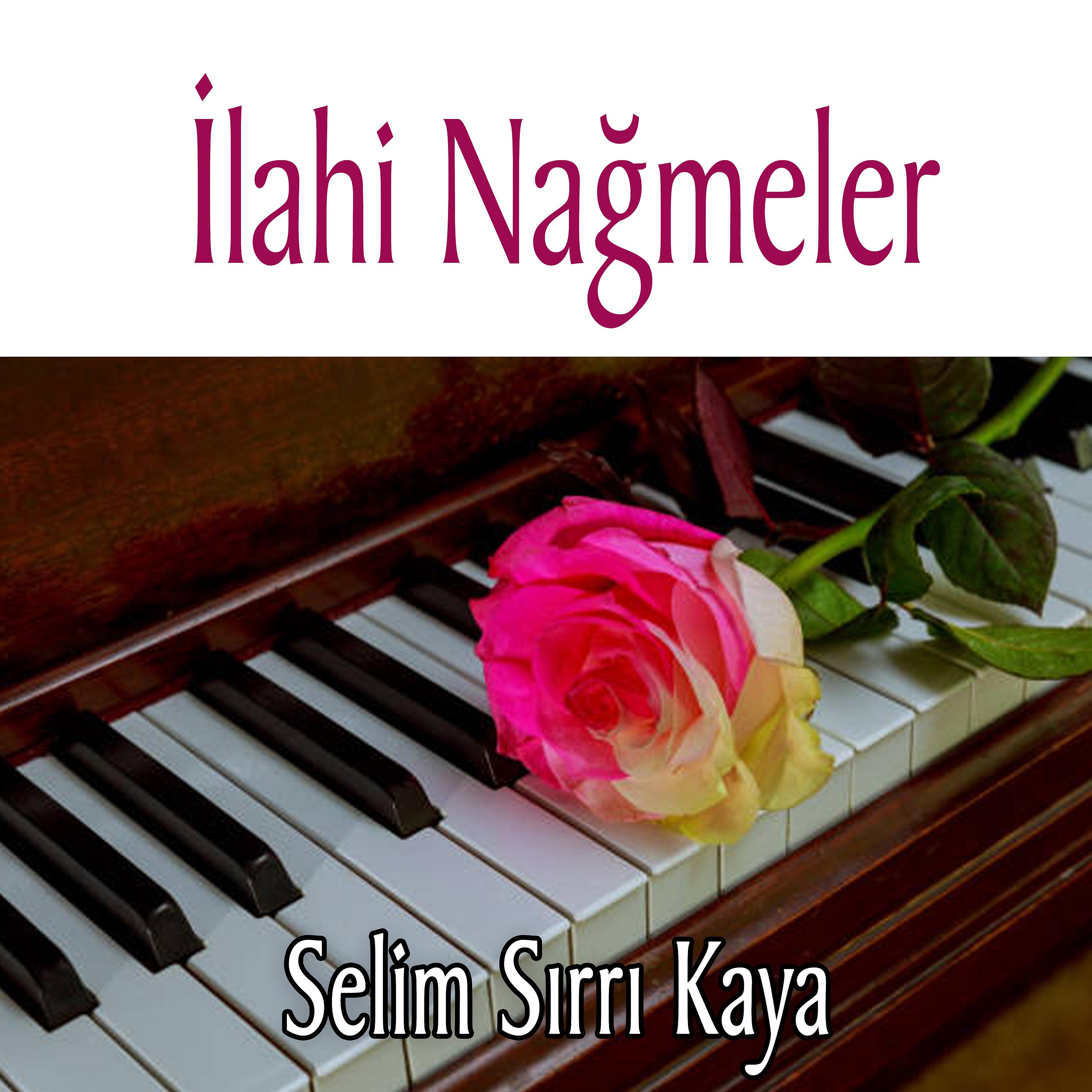 Постер альбома İlahi Nağmeler