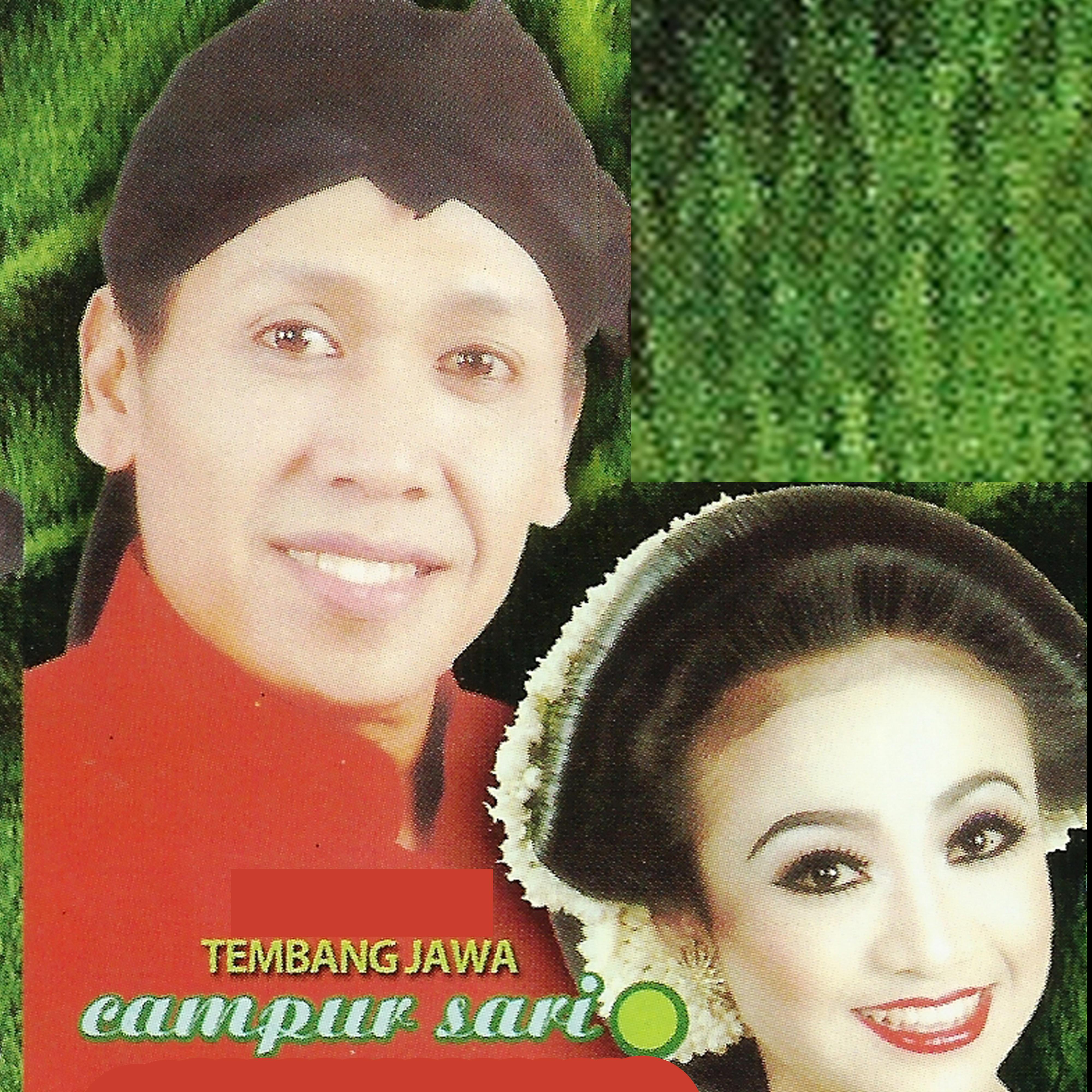Постер альбома Tembang Jawa Campur Sari