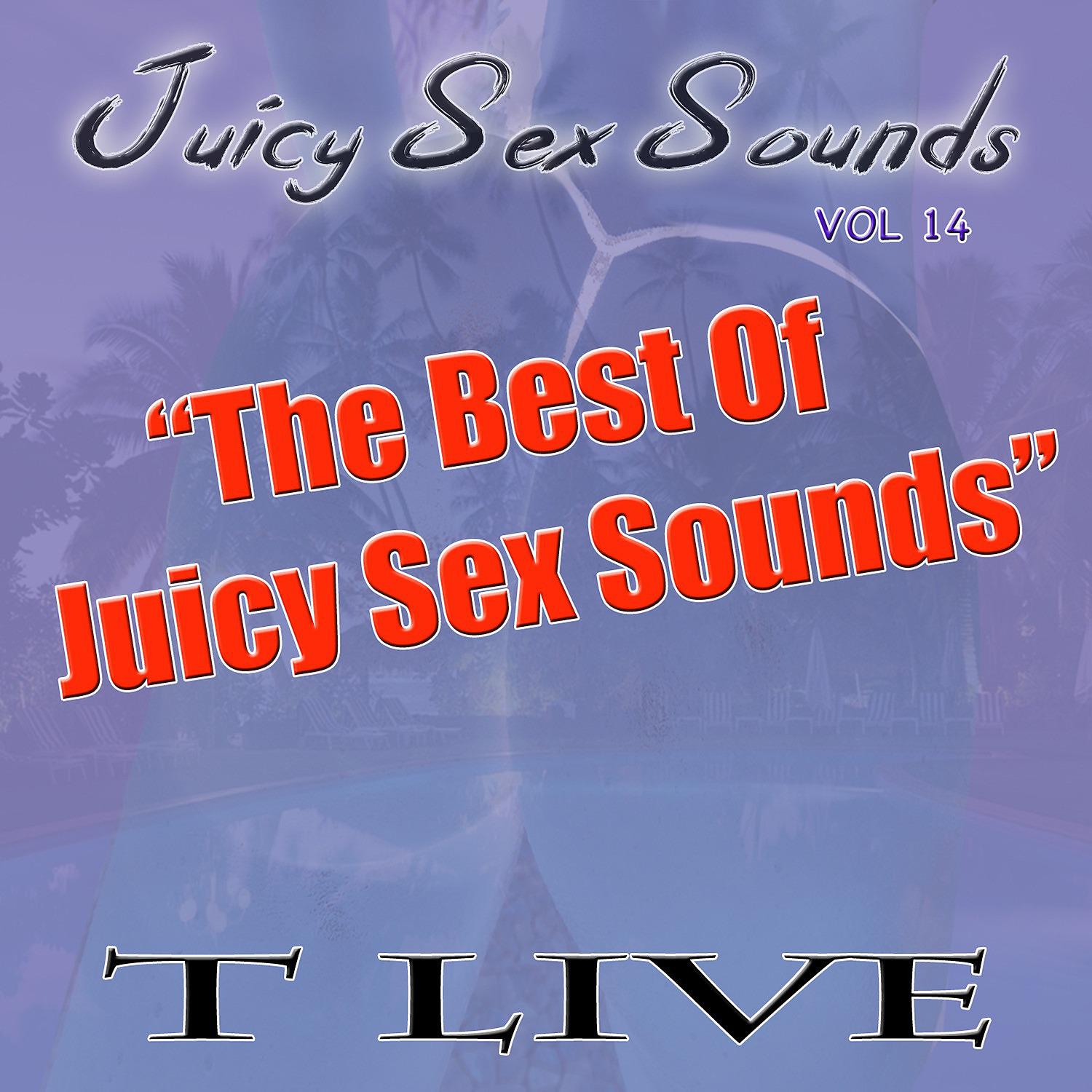 Постер альбома Juicy Sex Sounds Vol 14 "The Best Of Juicy Sex Sounds"