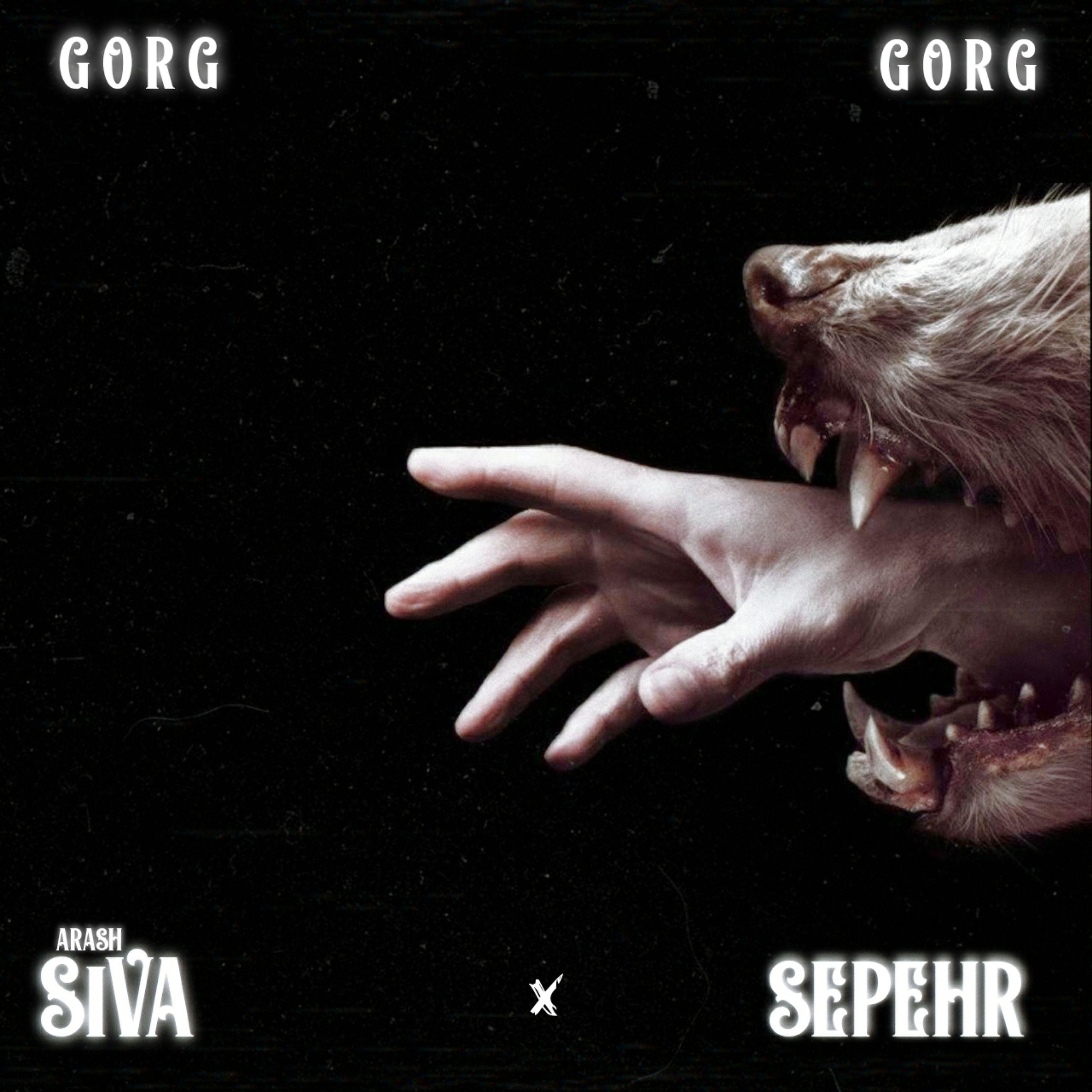Постер альбома Gorg