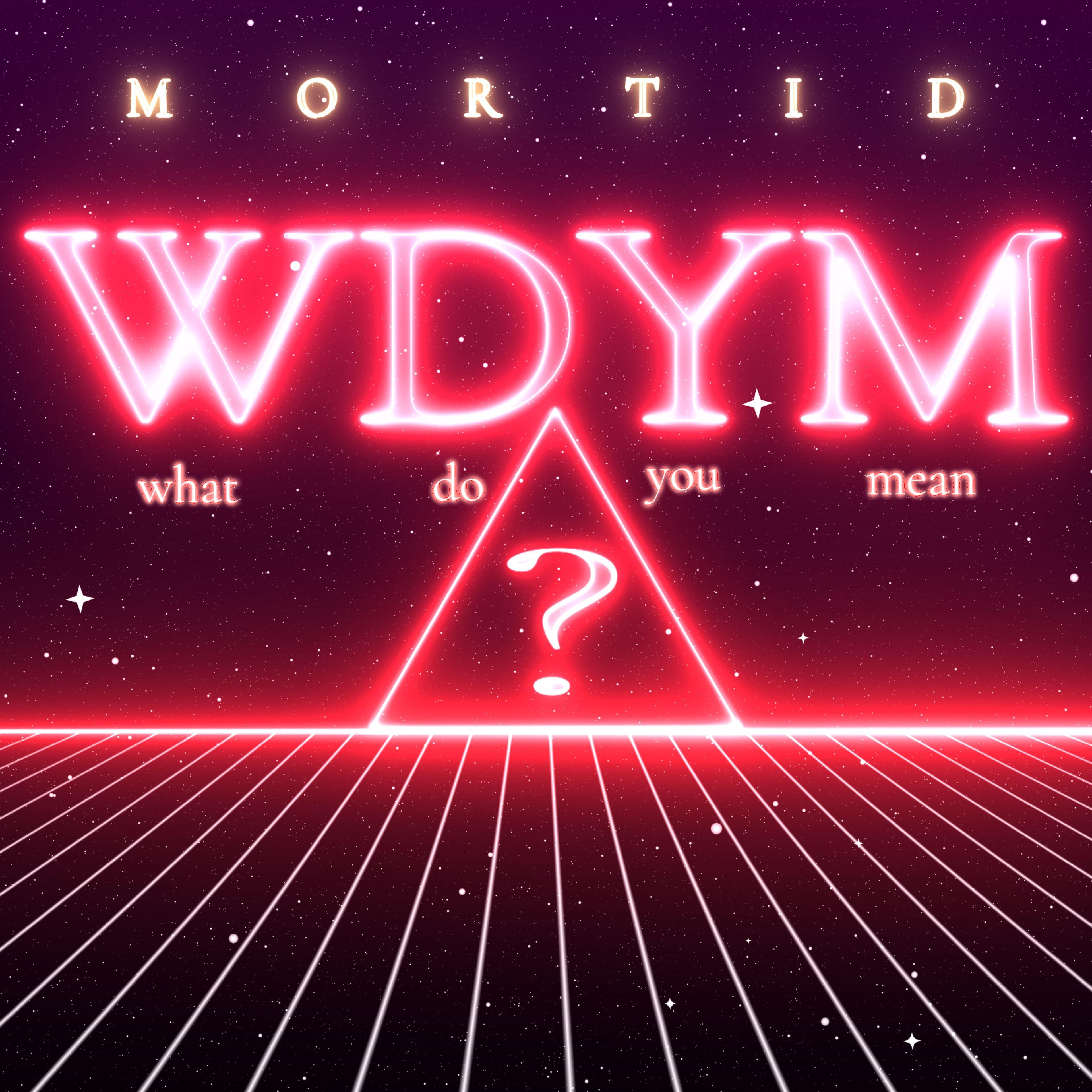 Постер альбома Wdym (What Do You Mean?)