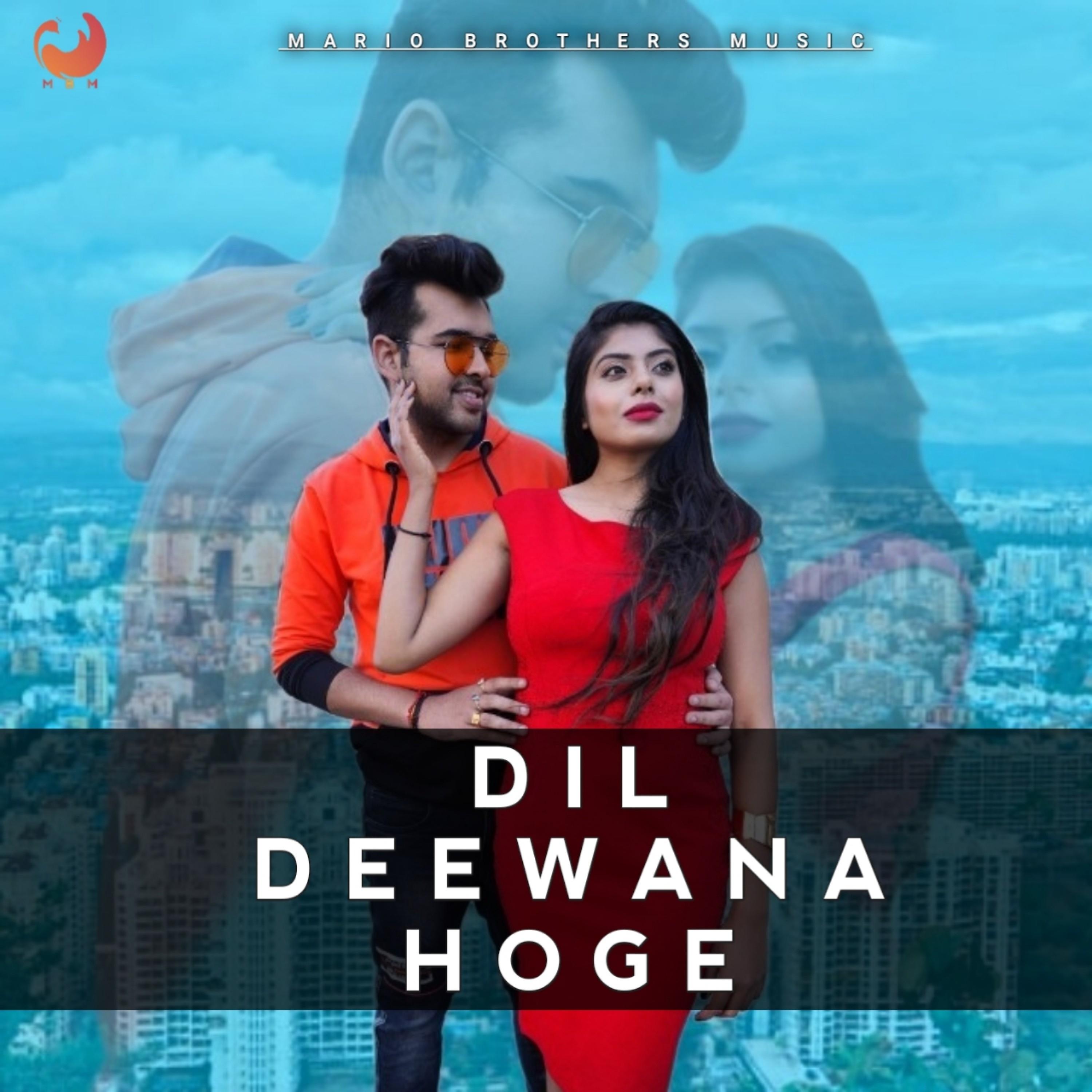 Постер альбома Dil Deewana Hoge