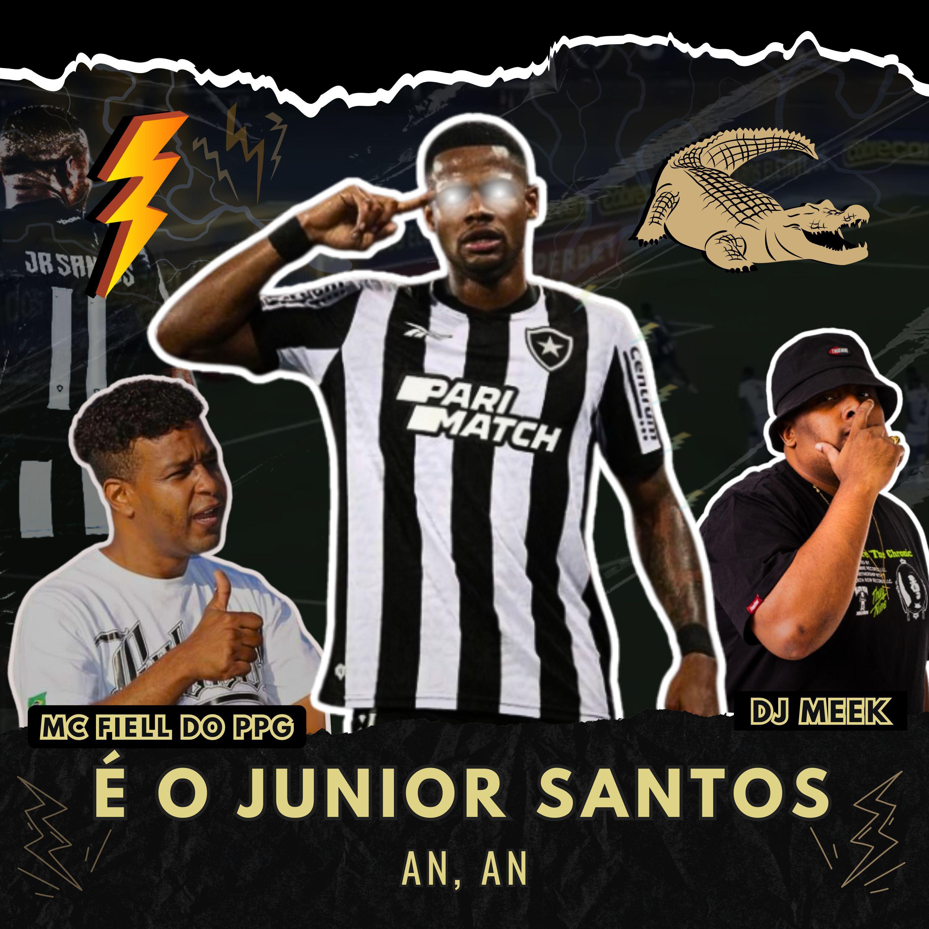 Постер альбома É o Junior Santos An An