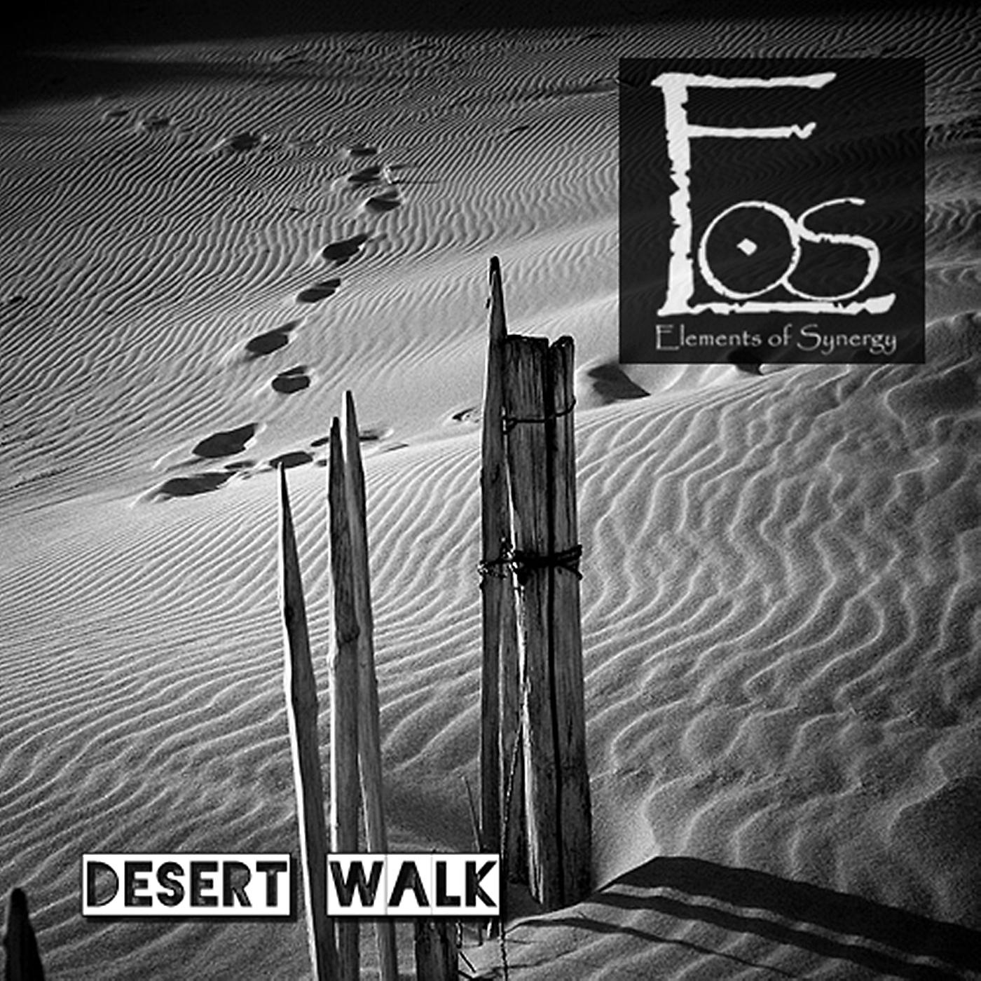 Постер альбома Desert Walk