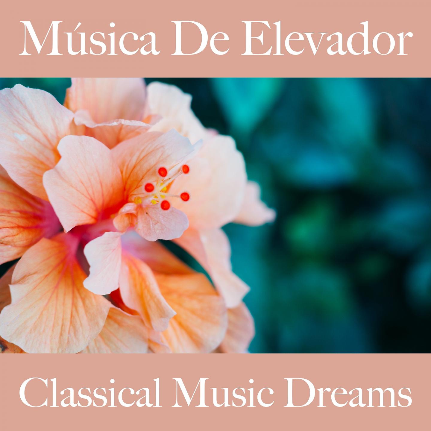 Постер альбома Música De Elevador: Classical Music Dreams - Os Melhores Sons Para Relaxar