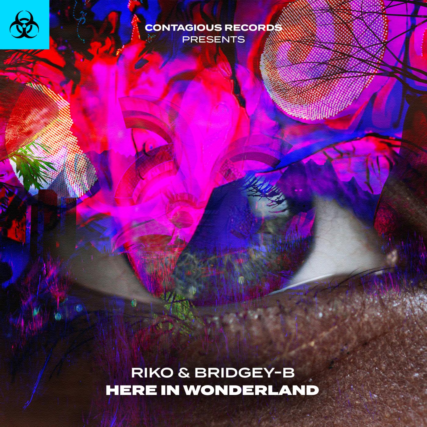 Постер альбома Here In Wonderland