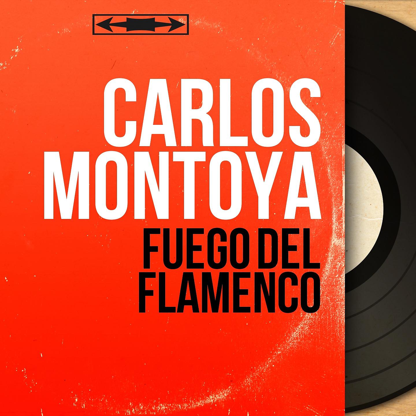 Постер альбома Fuego del Flamenco