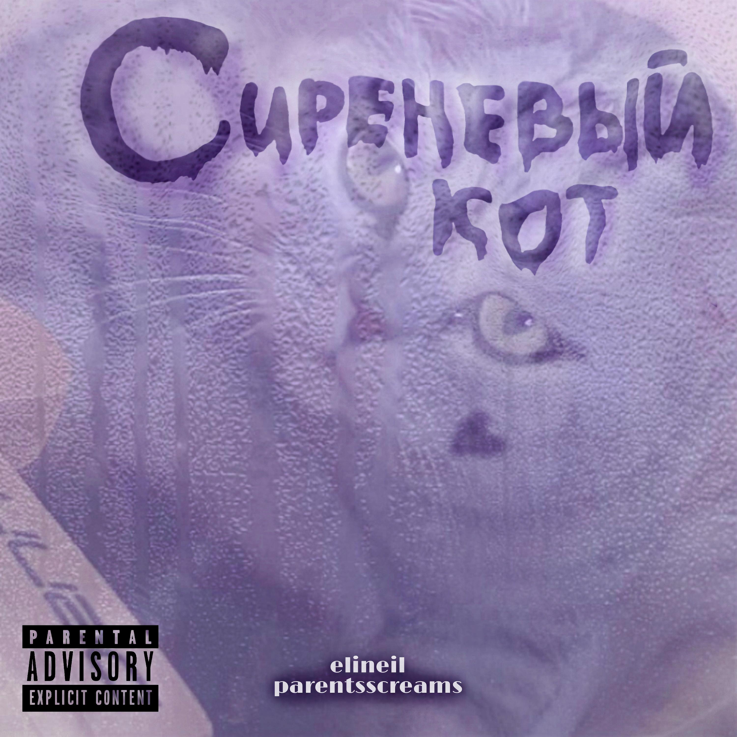 Постер альбома Сиреневый кот