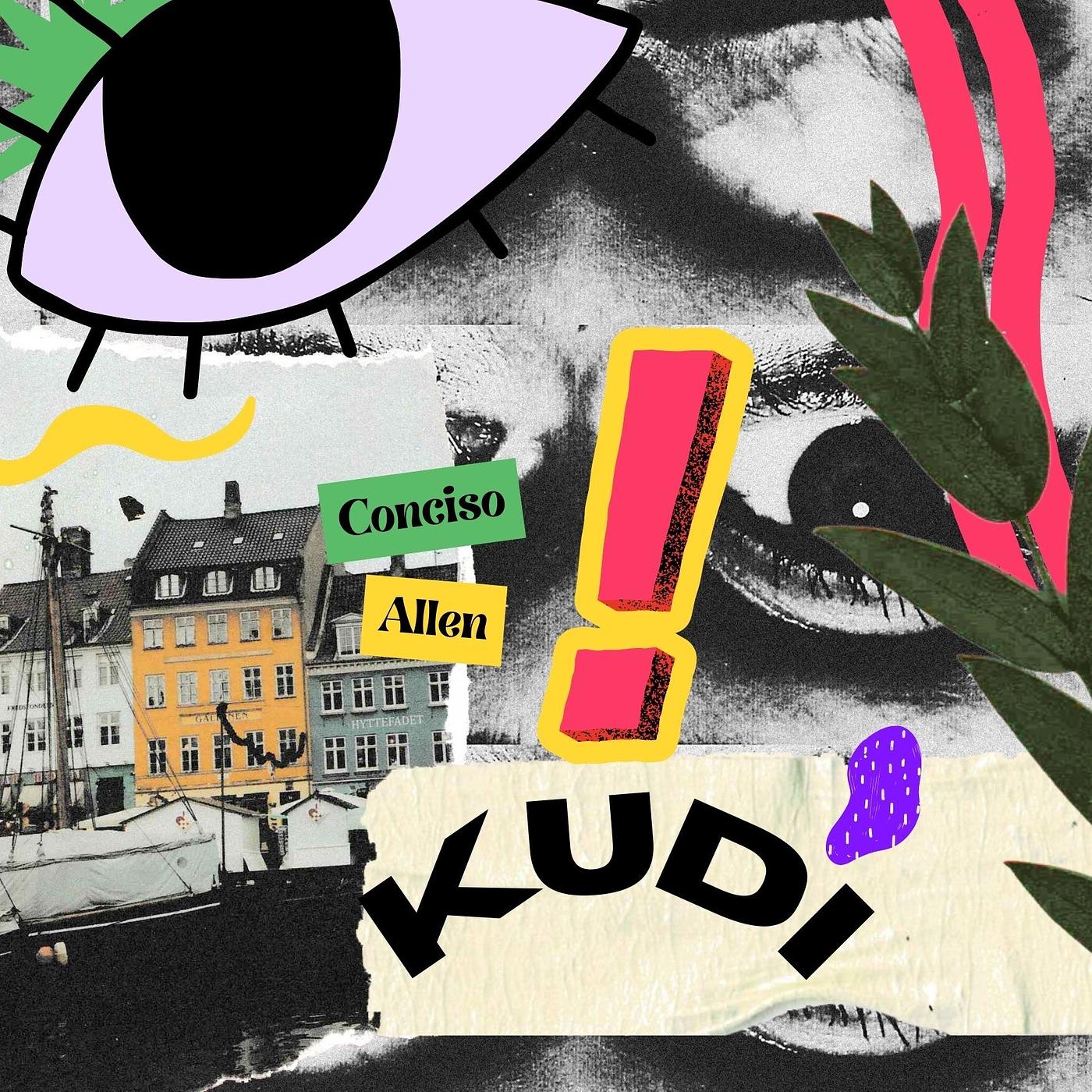 Постер альбома Kudi