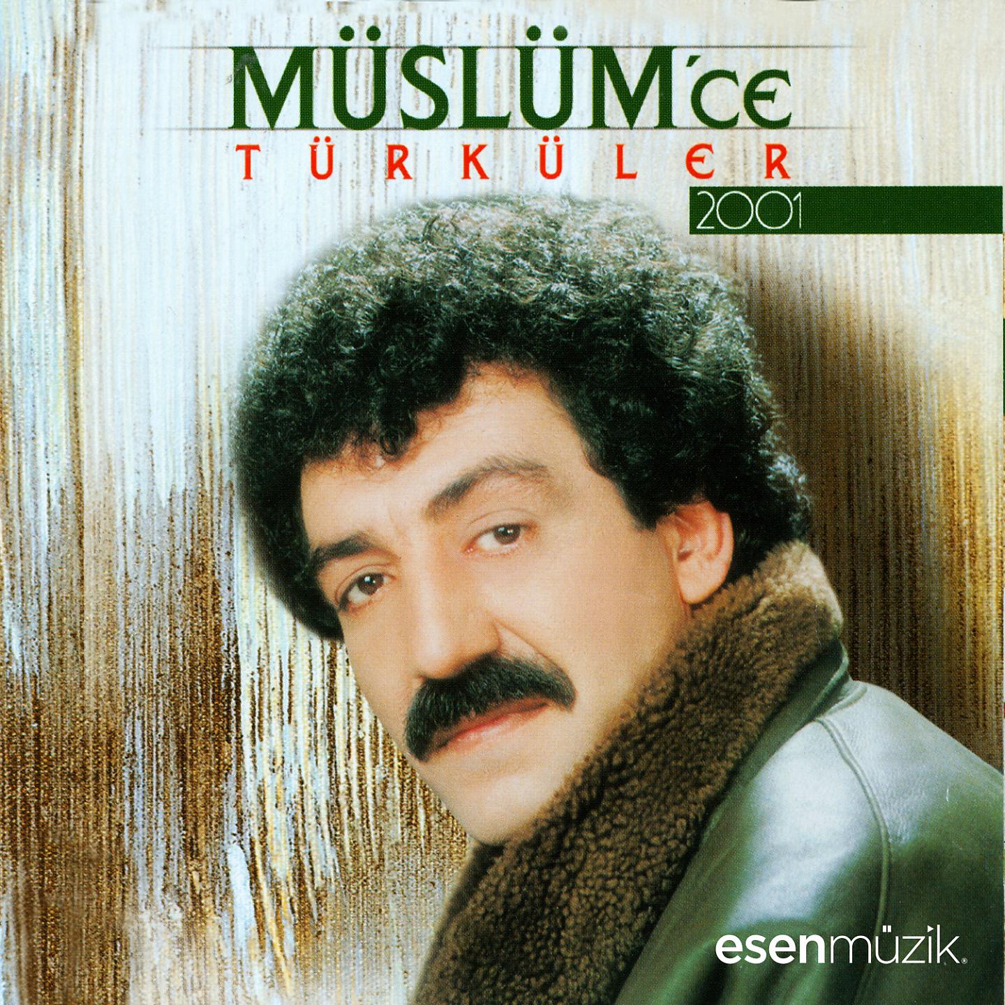 Постер альбома Müslüm'ce Türküler 2001