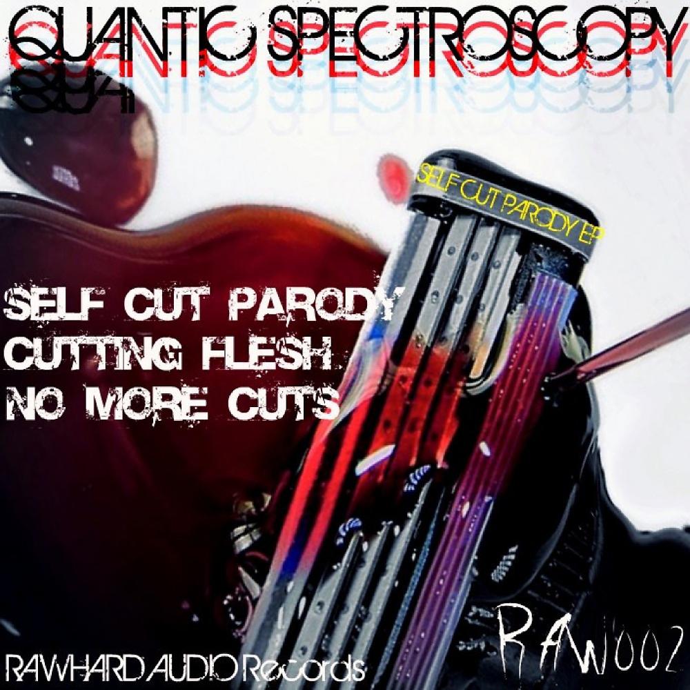 Постер альбома Self Cut Parody