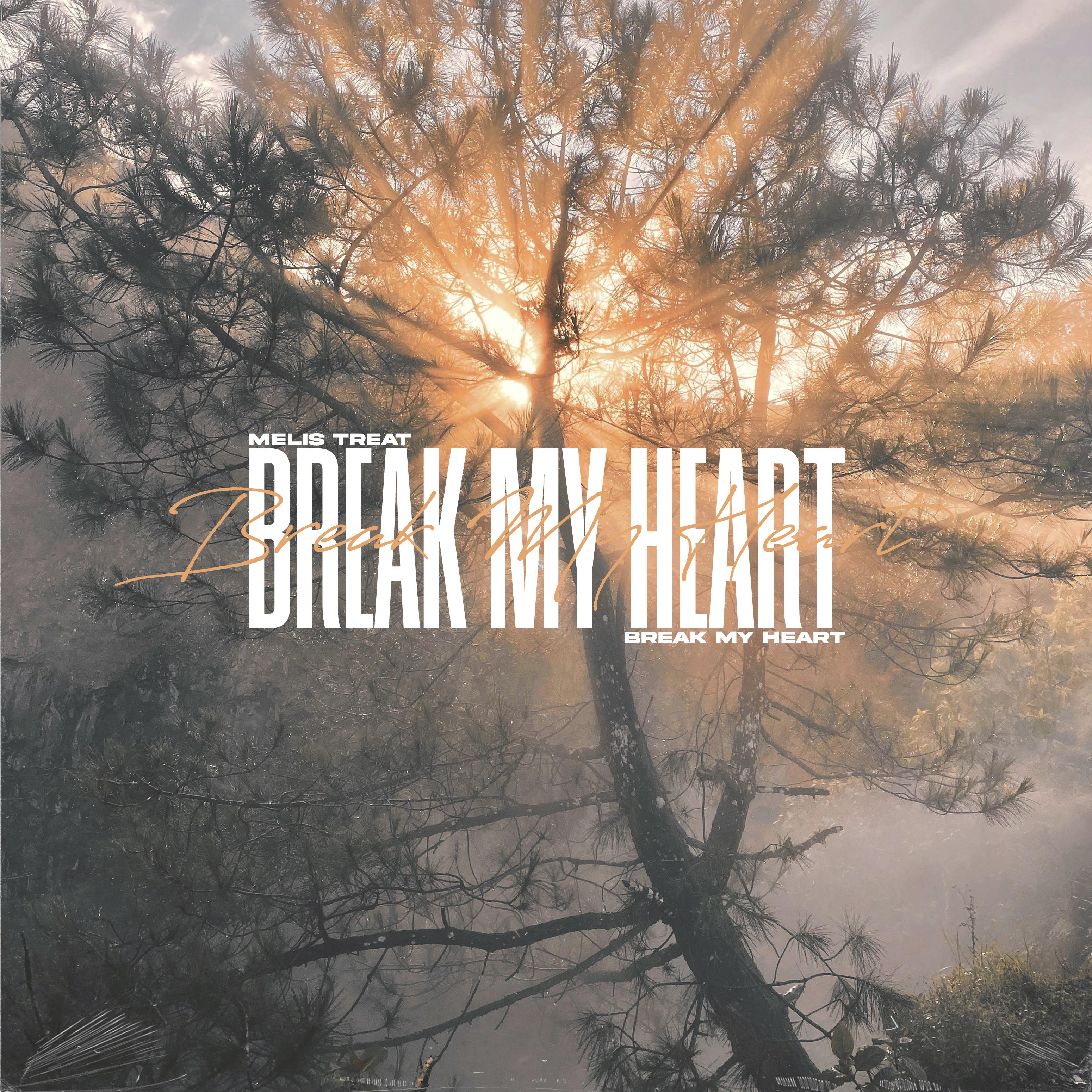Постер альбома Break My Heart