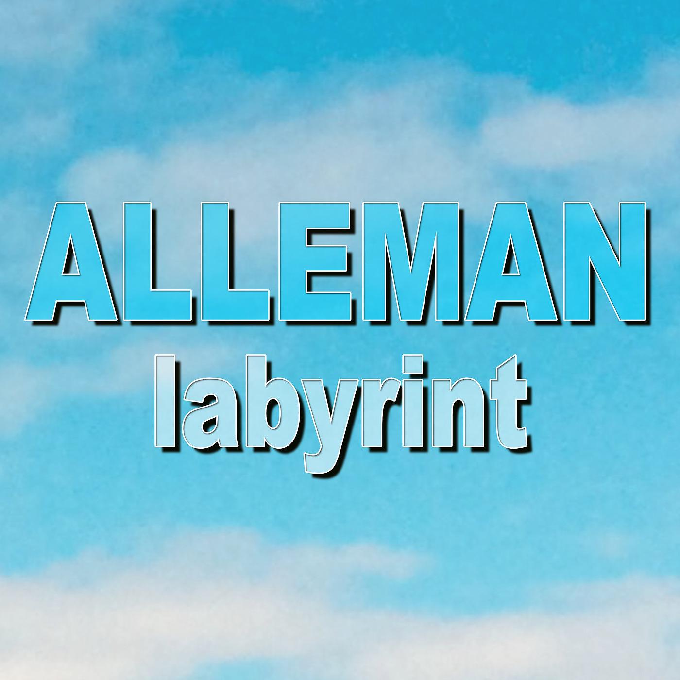 Постер альбома Labyrint