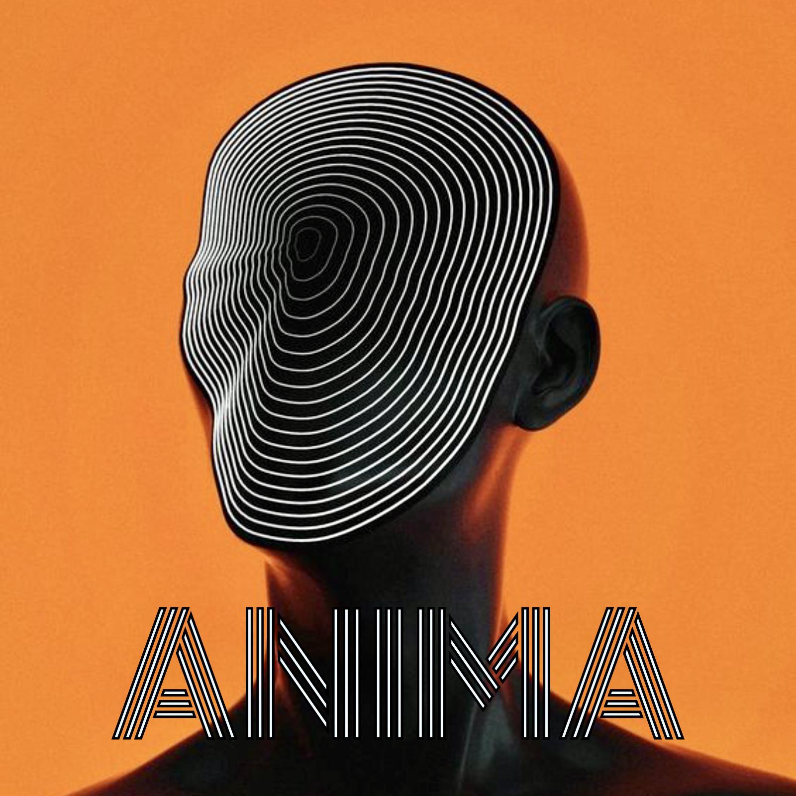 Постер альбома ANIMA