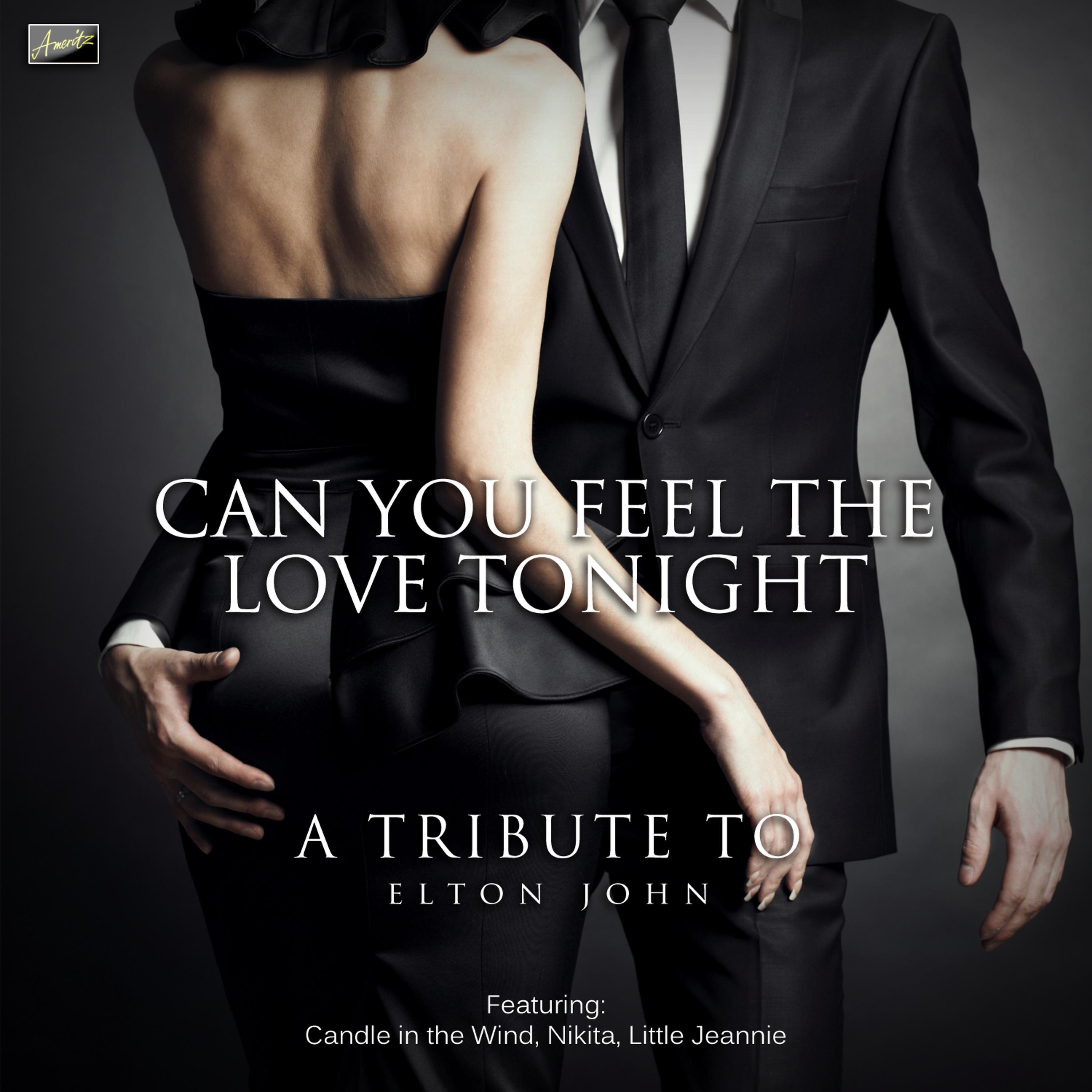 Постер альбома Can You Feel the Love Tonight - A Tribute to Elton John
