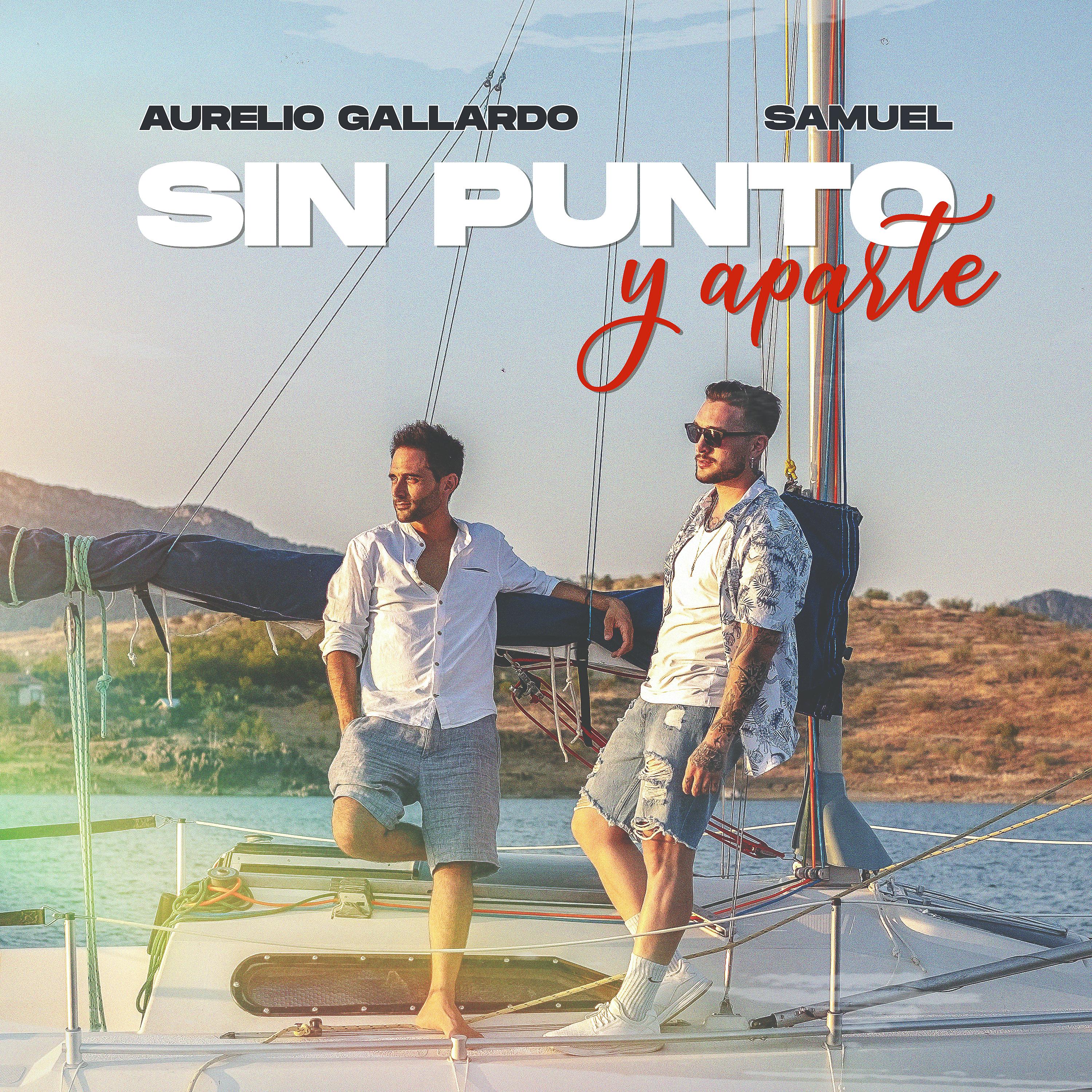 Постер альбома Sin Punto y Aparte
