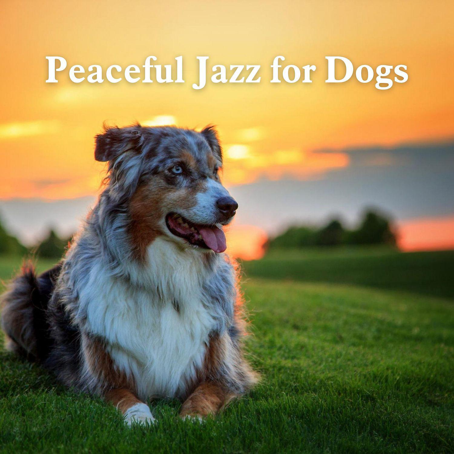 Постер альбома Peaceful Jazz for Dogs