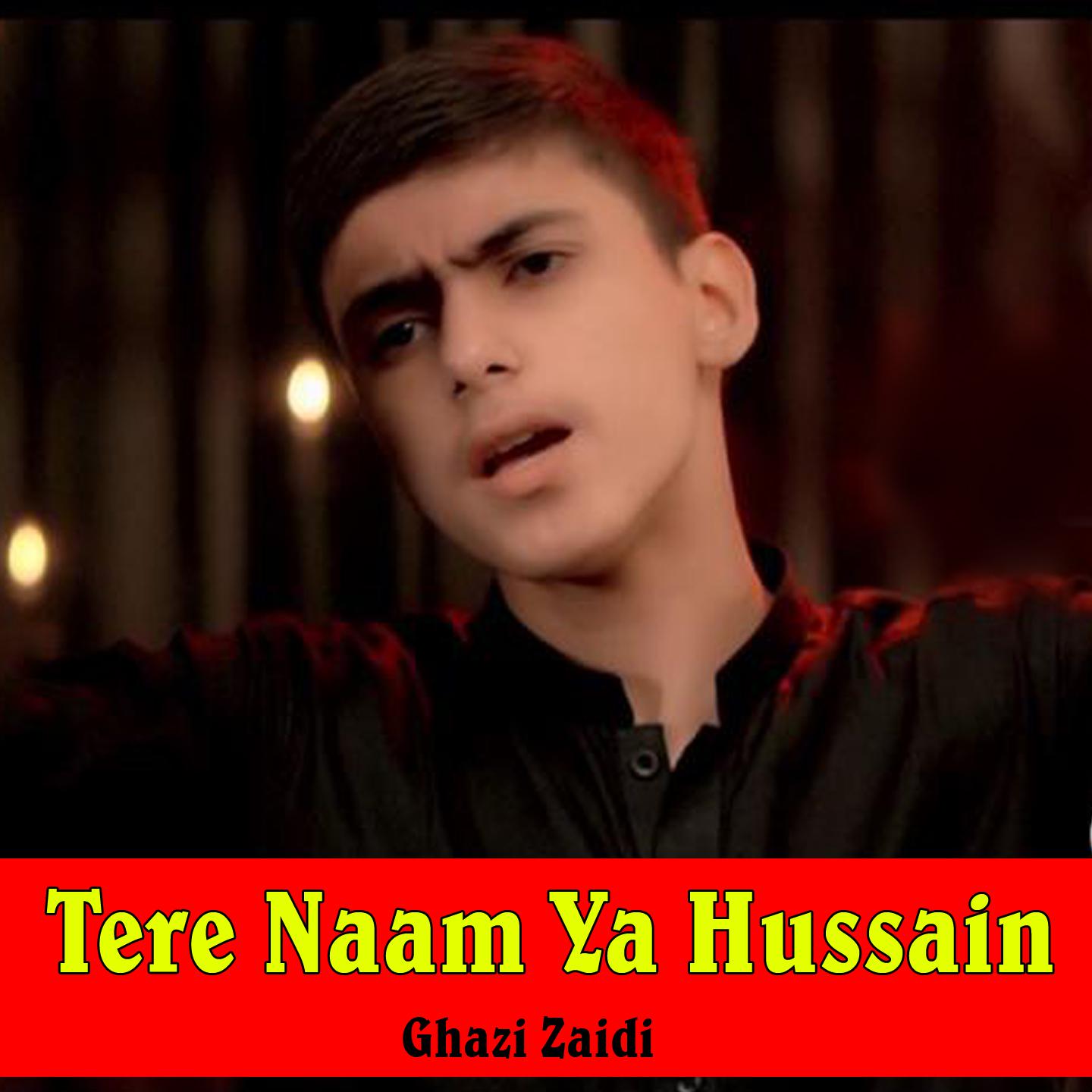 Постер альбома Tere Naam Ya Hussain