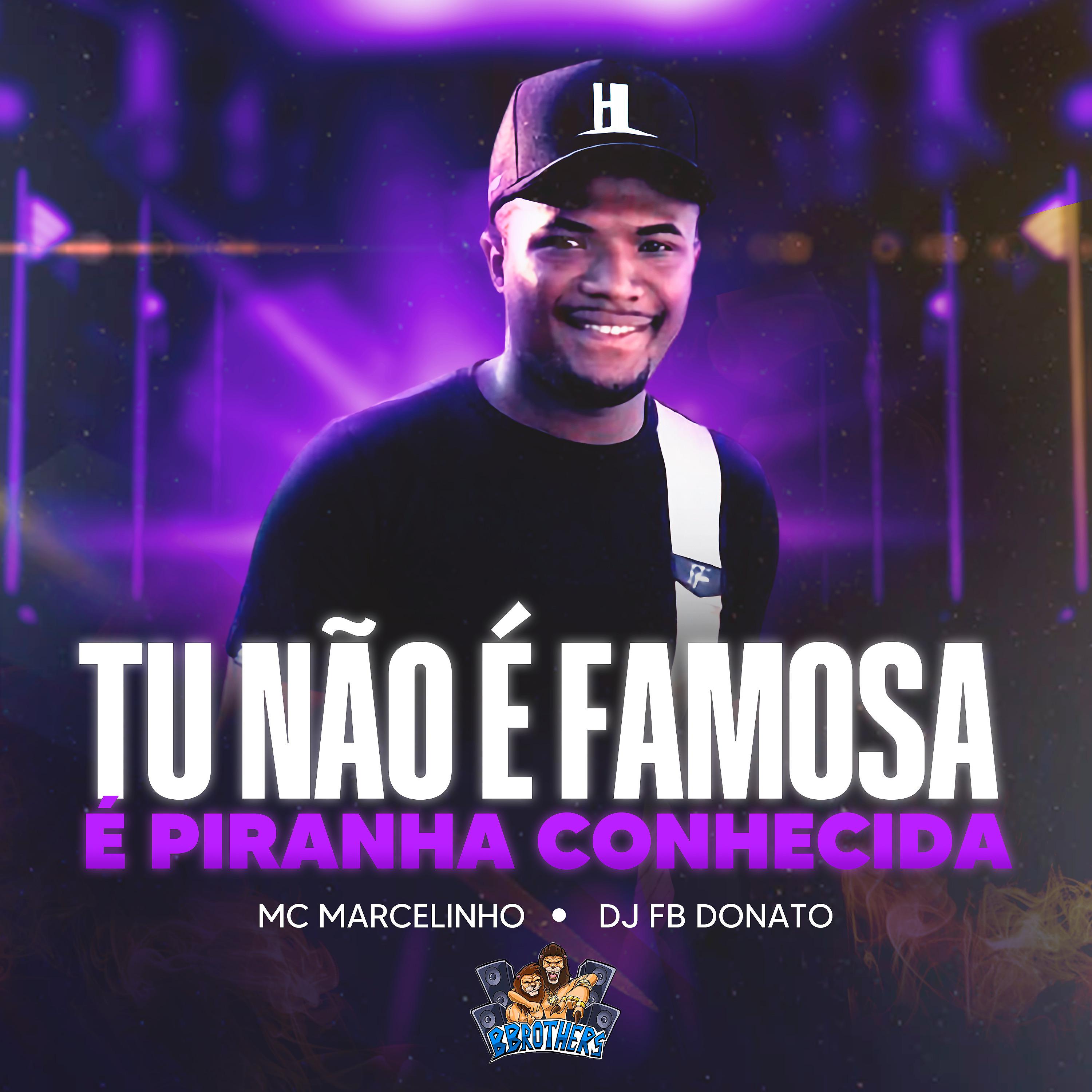 Постер альбома Tu Não É Famosa É Piranha Conhecida